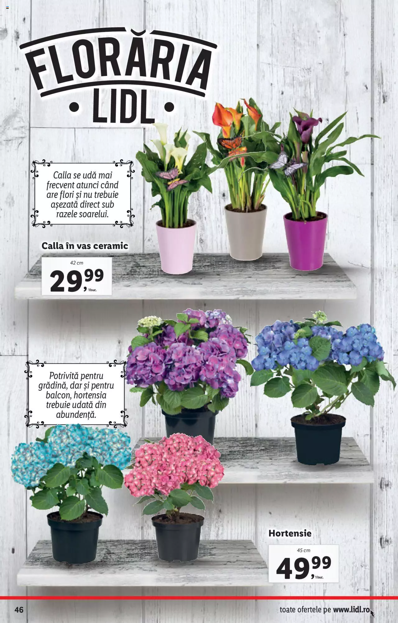 Catalog LIDL 9 - 16 August 2021 | Pagina 46