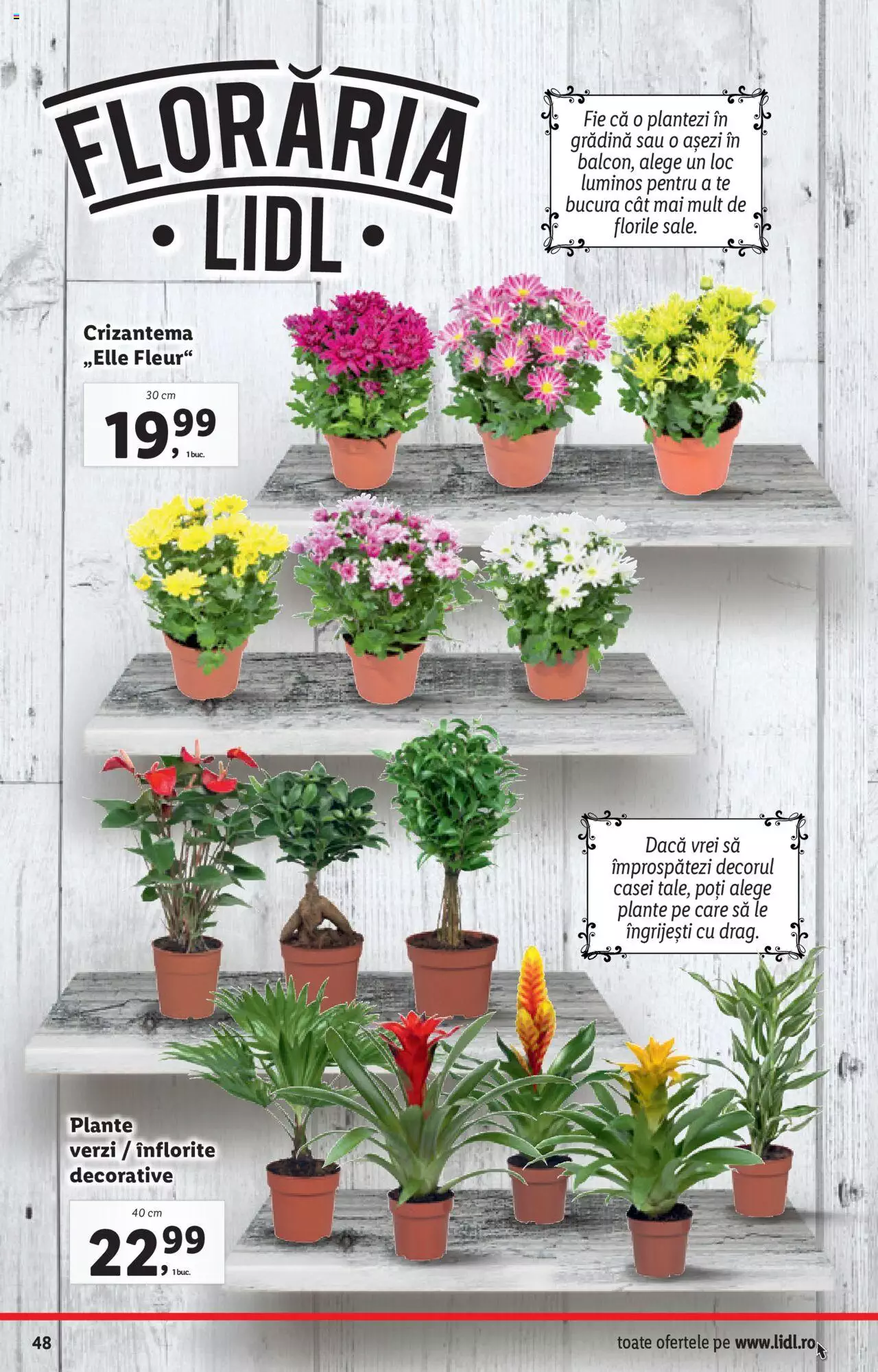 Catalog LIDL 9 - 16 August 2021 | Pagina 48