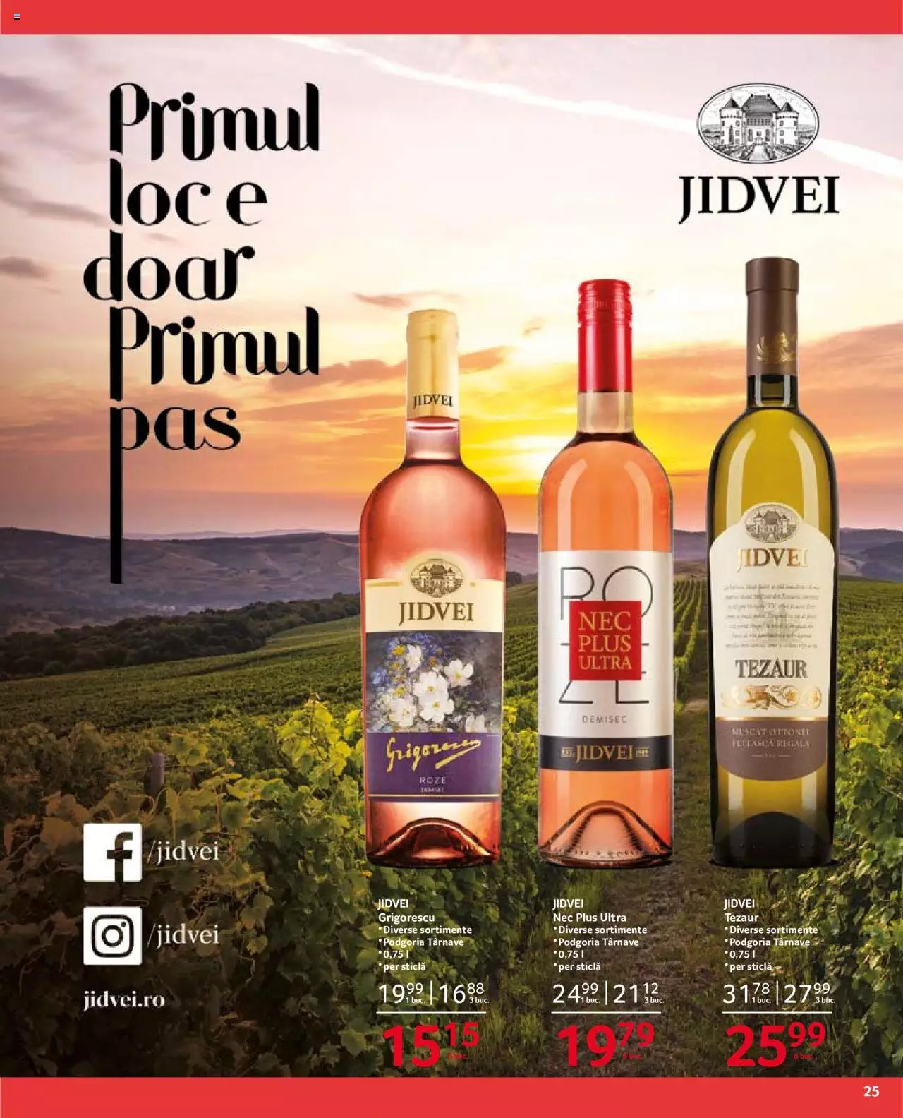 Catalog Selgros 6 - 20 August 2021 | Pagina 25