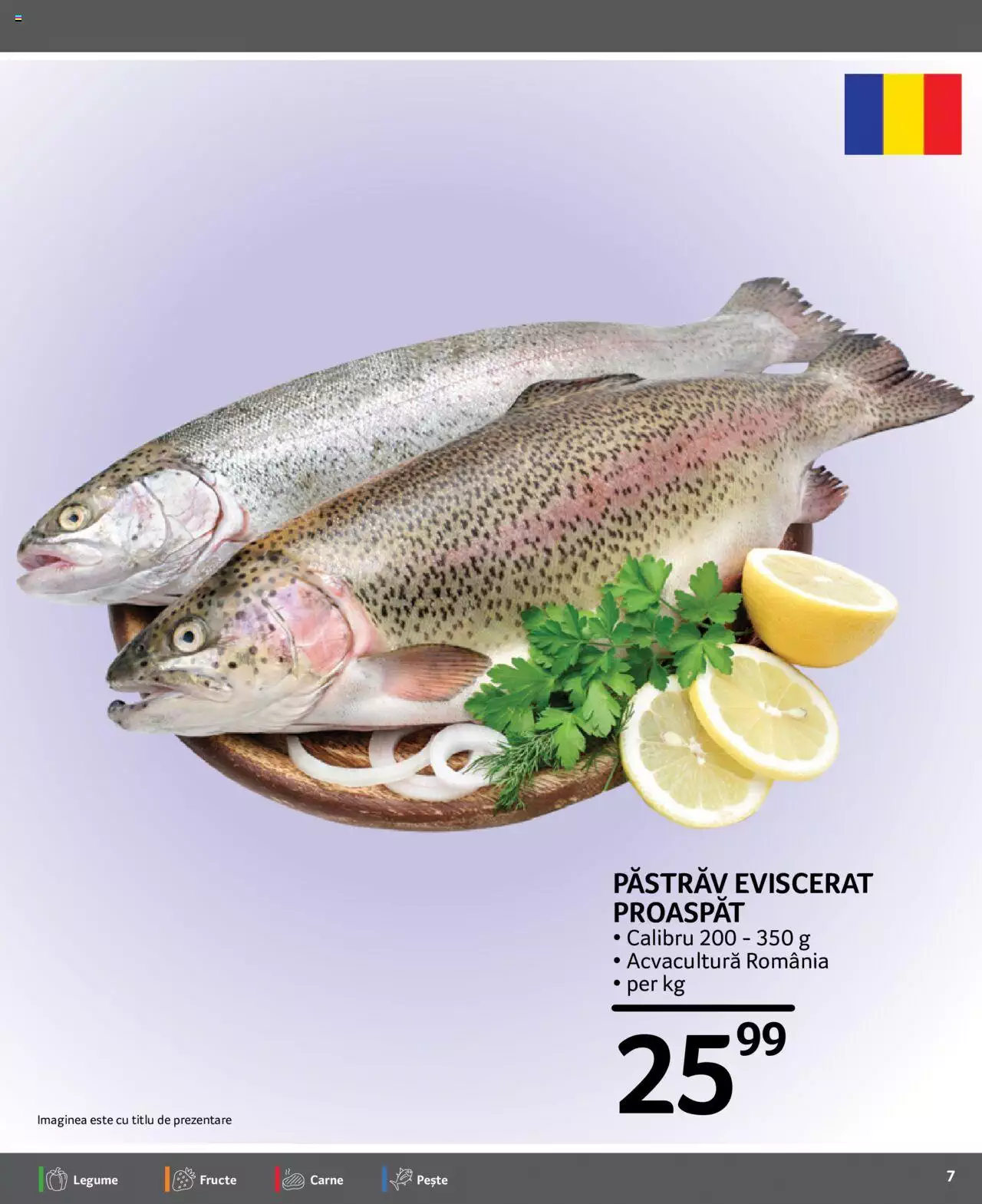 Catalog Selgros 6 - 13 August 2021 | Pagina 7