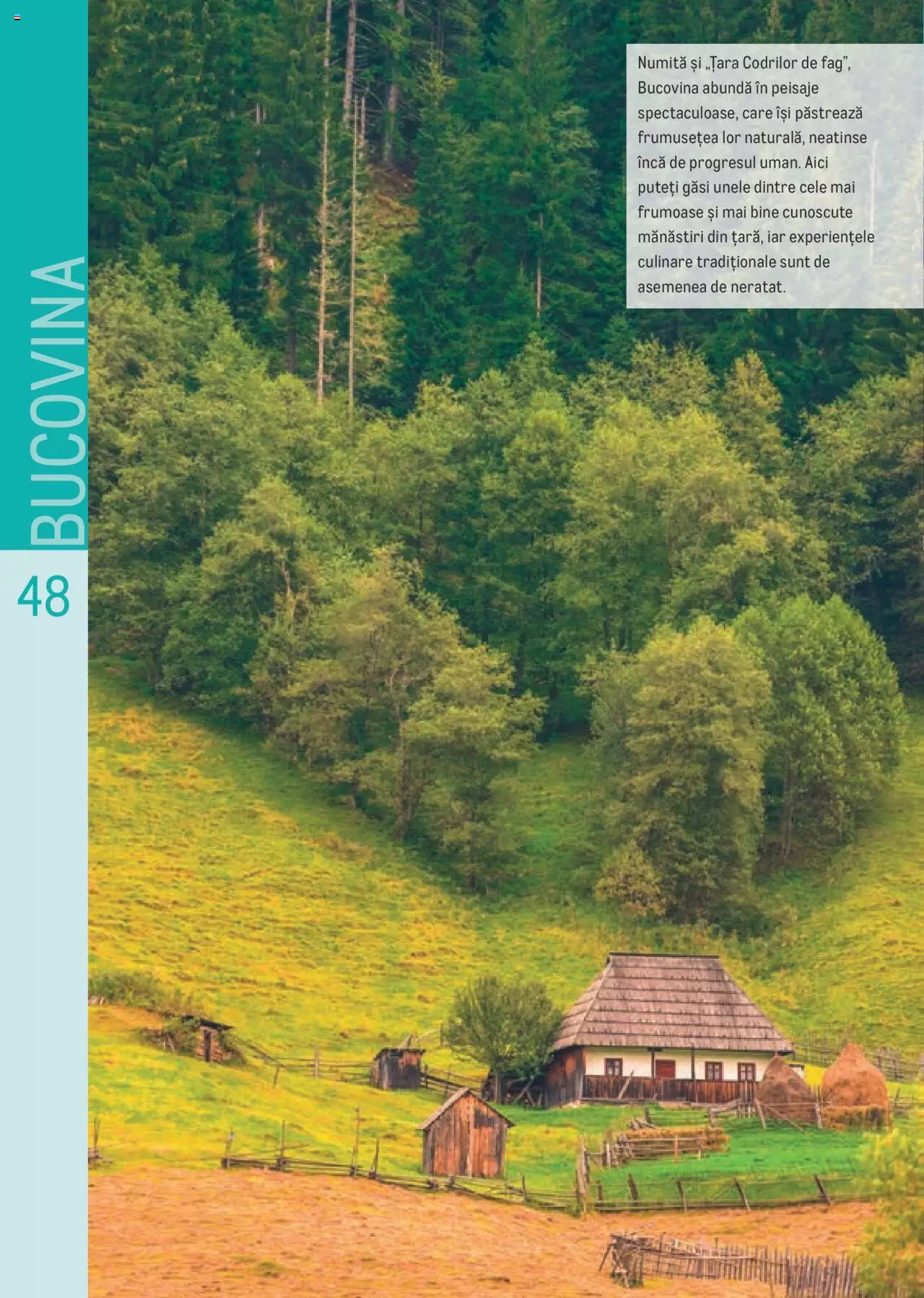 Catalog METRO 13 Iulie - 31 Decembrie 2021 | Pagina 48