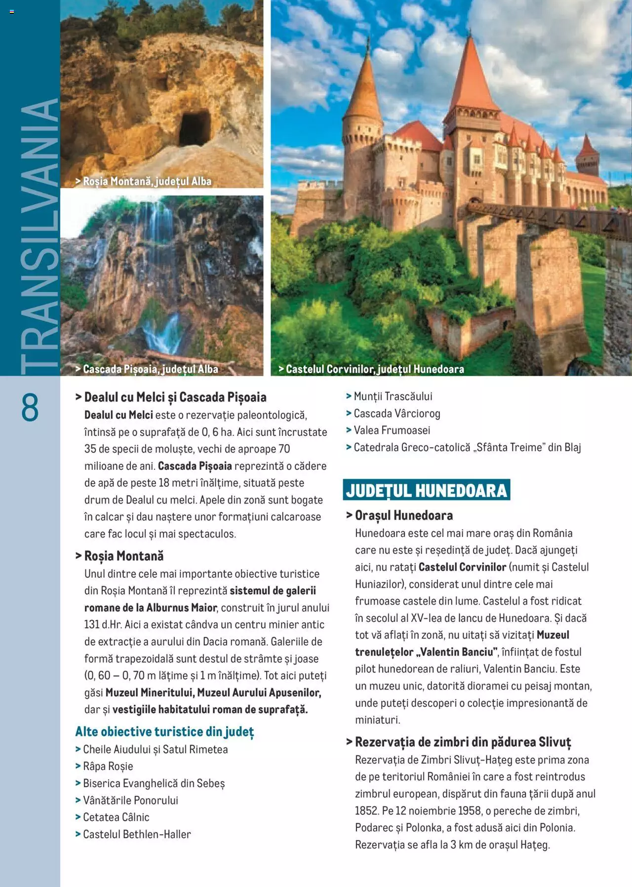 Catalog METRO 13 Iulie - 31 Decembrie 2021 | Pagina 8
