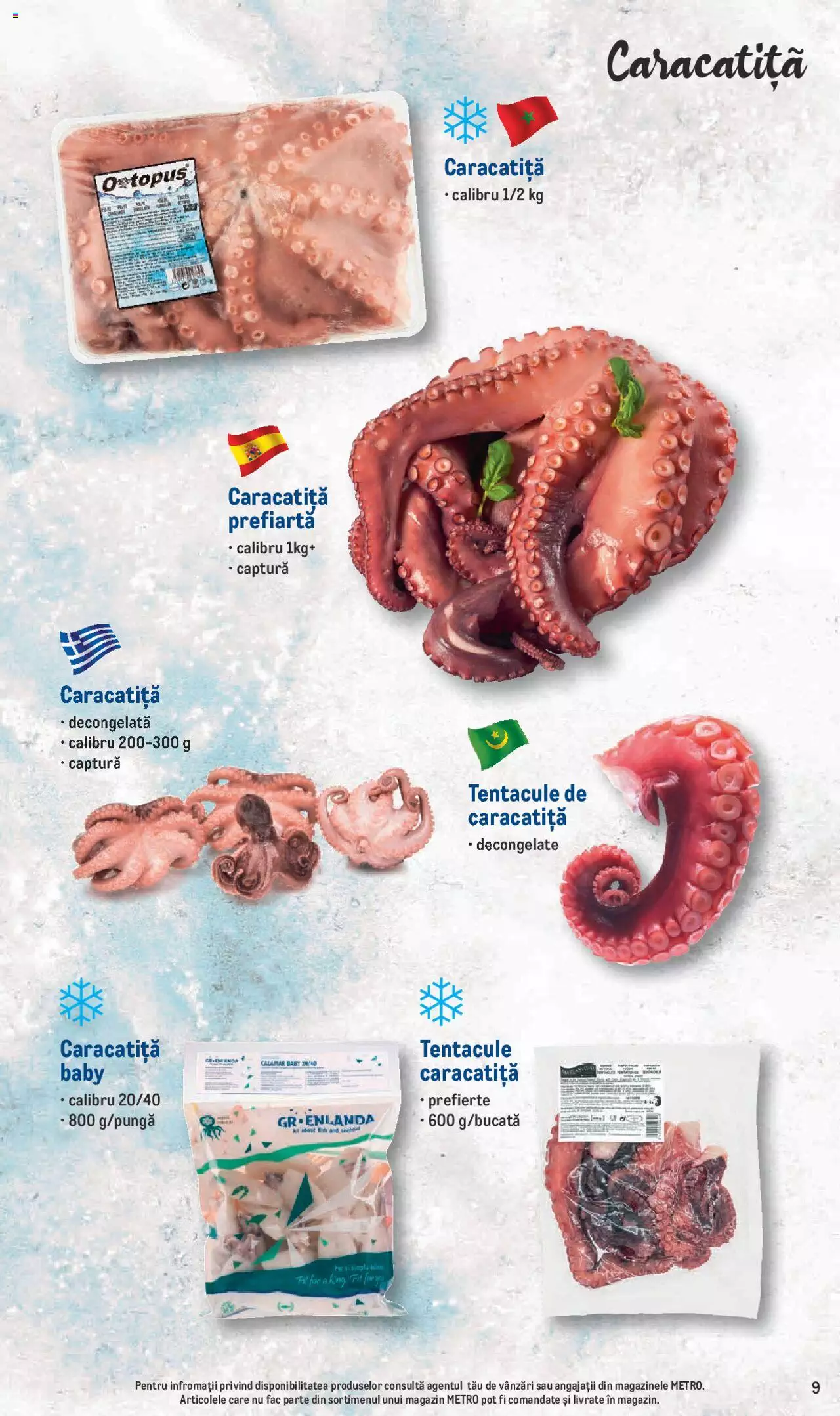 Catalog METRO 24 Iunie - 31 August 2021 | Pagina 9
