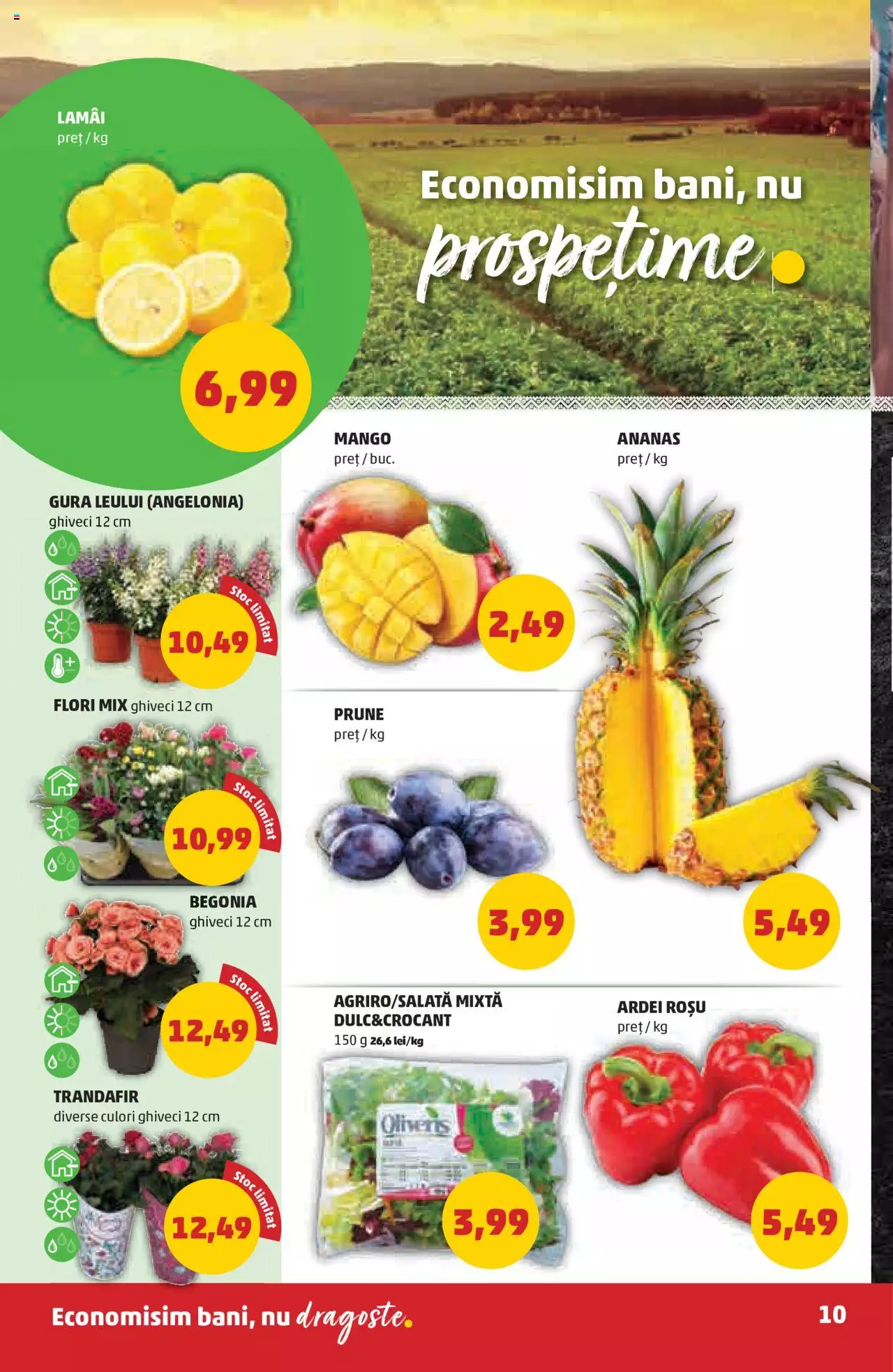 Catalog PENNY Market 25 - 31 August 2021 | Pagina 10