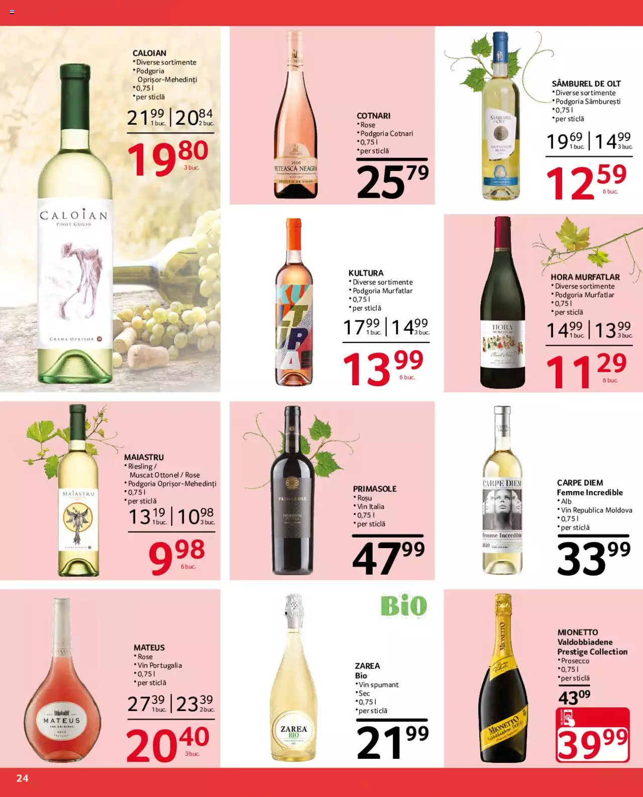 Catalog Selgros 20 August - 2 Septembrie 2021 | Pagina 24