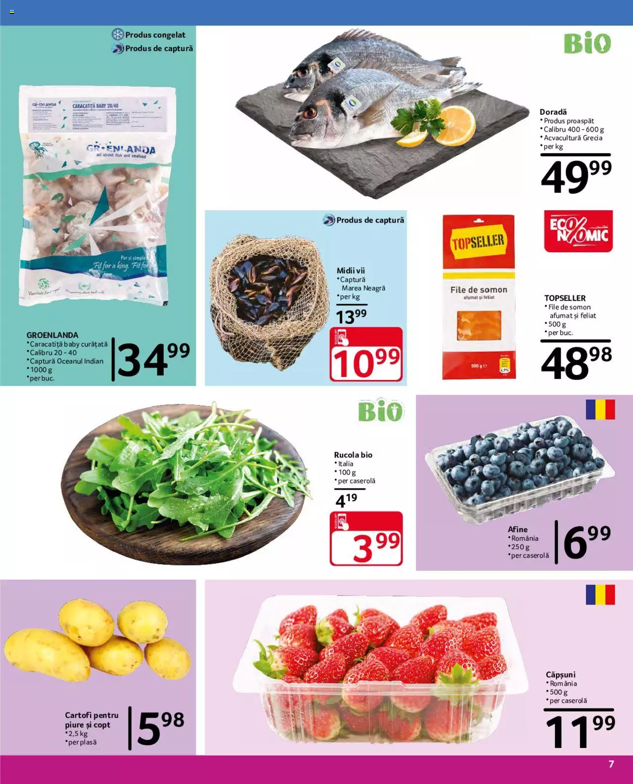 Catalog Selgros 20 August - 2 Septembrie 2021 | Pagina 7