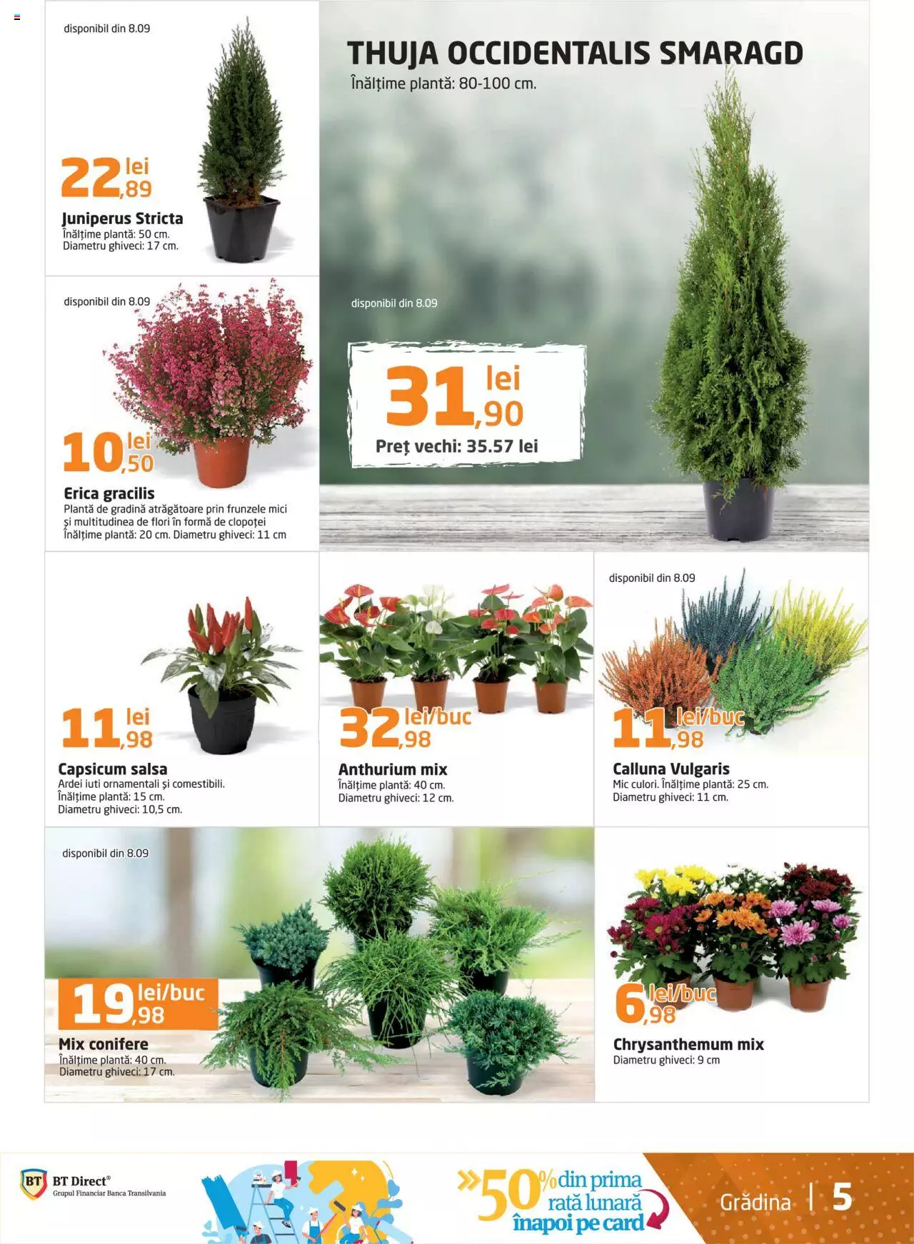 Catalog Dedeman 1 - 30 Septembrie 2021 | Pagina 5