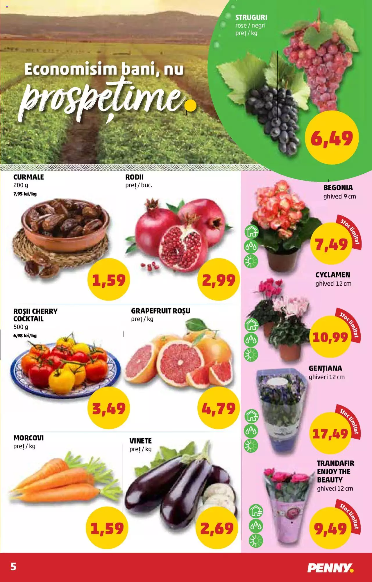 Catalog PENNY Market 1 - 7 Septembrie 2021 | Pagina 5