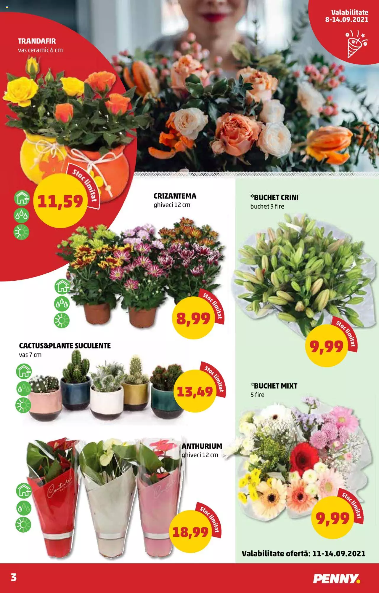 Catalog PENNY Market 8 - 14 Septembrie 2021 | Pagina 3