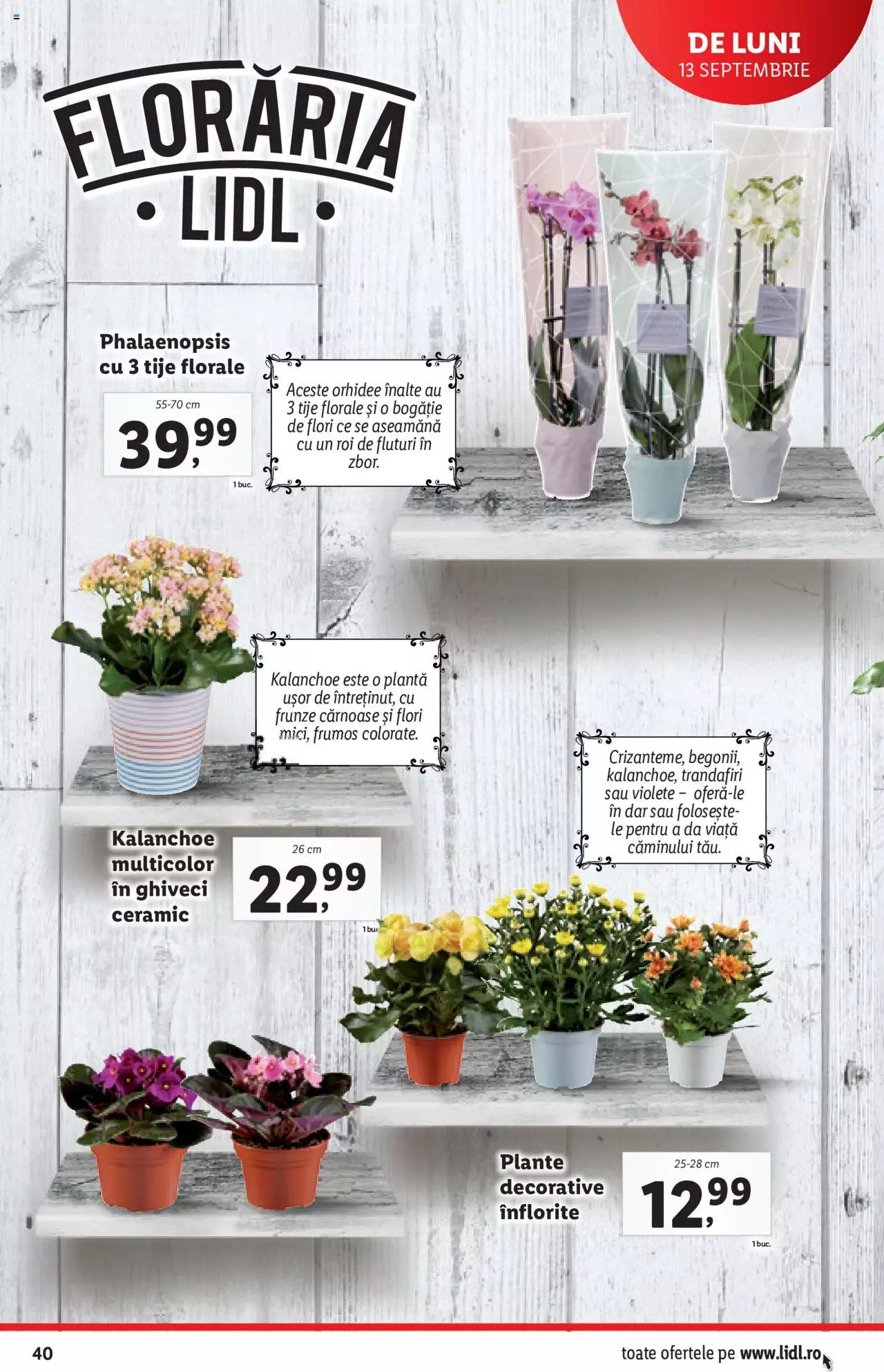 Catalog LIDL 13 - 19 Septembrie 2021 | Pagina 40