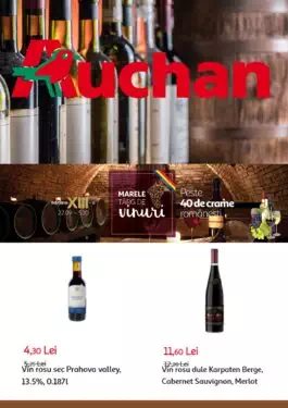 Catalog Auchan