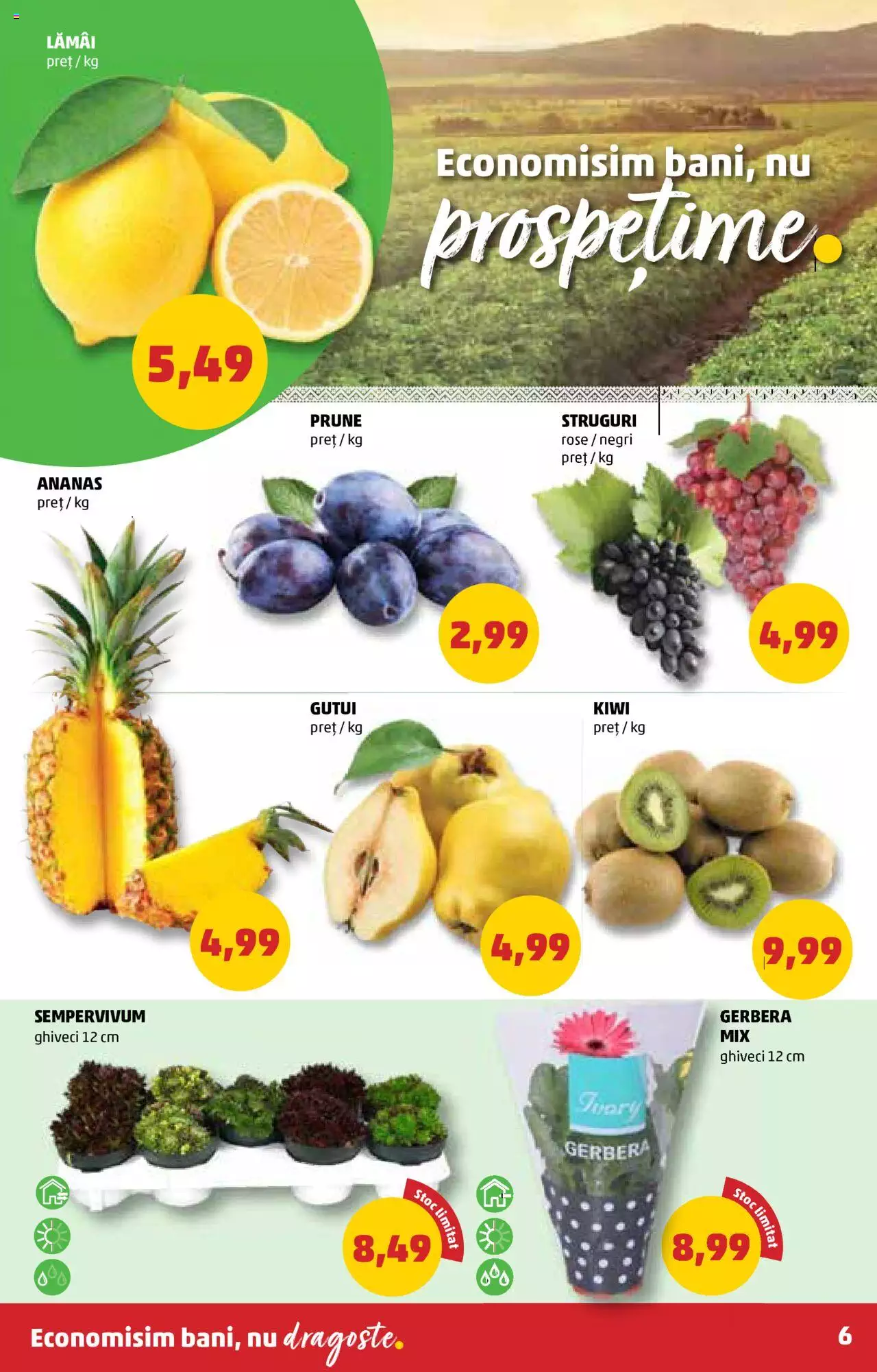 Catalog PENNY Market 22 - 28 Septembrie 2021 | Pagina 8
