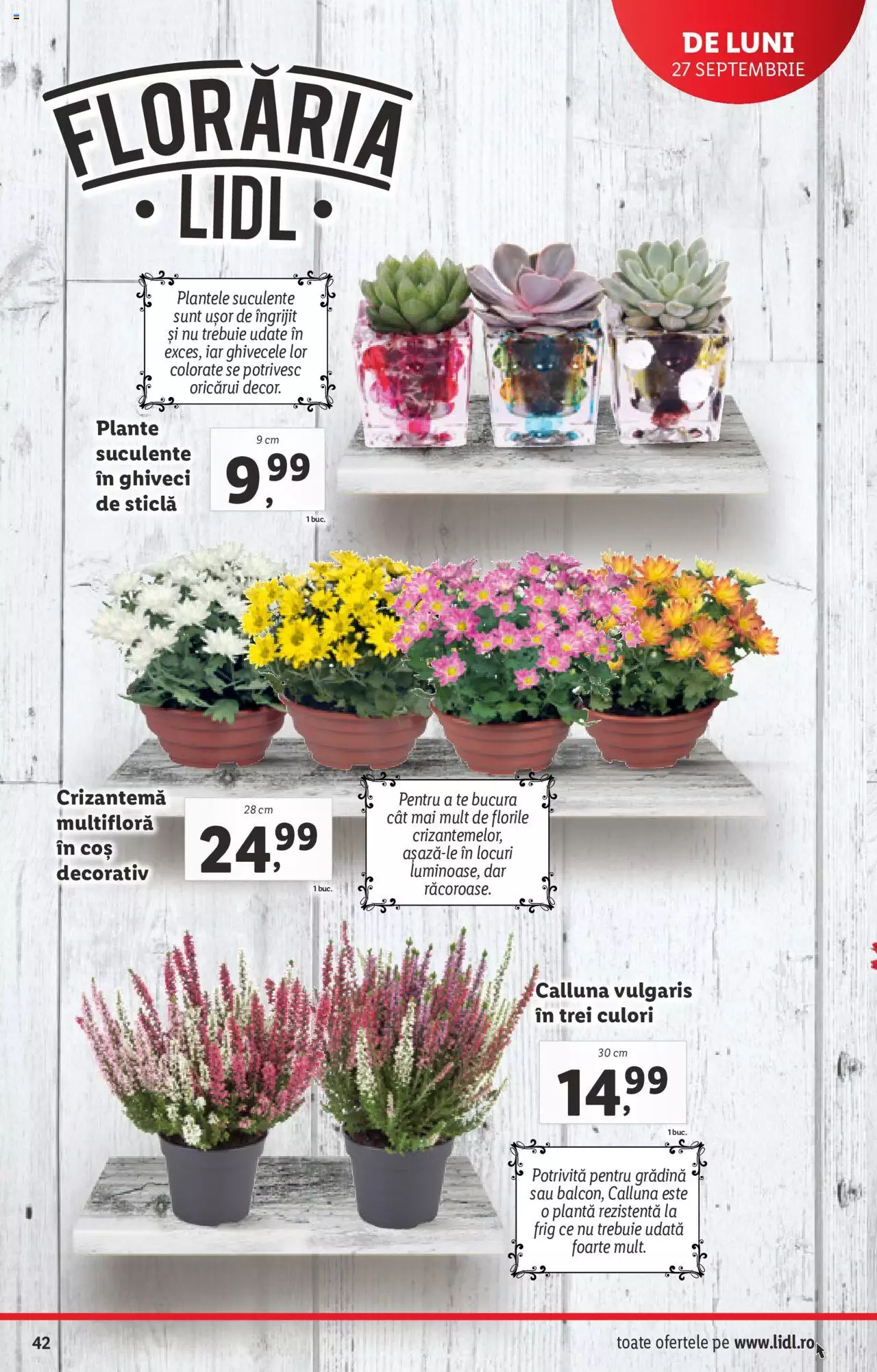 Catalog LIDL 27 Septembrie - 3 Octombrie 2021 | Pagina 42