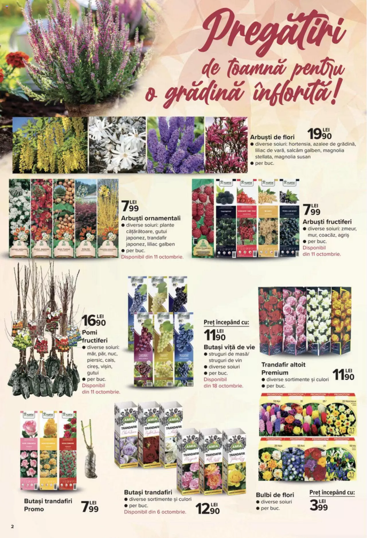Catalog Carrefour 30 Septembrie - 27 Octombrie 2021 | Pagina 3