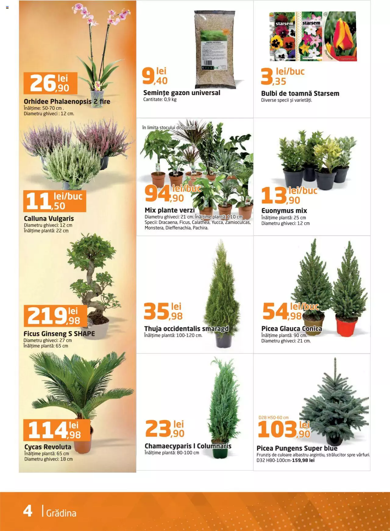 Catalog Dedeman 1 - 31 Octombrie 2021 | Pagina 4