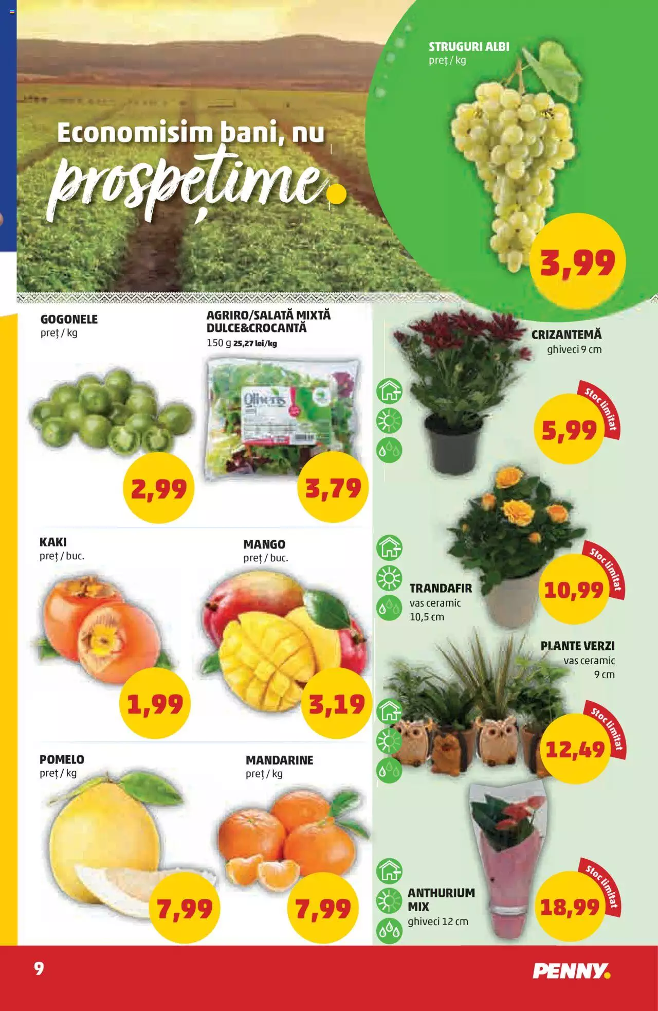 Catalog PENNY Market 6 - 12 Octombrie 2021 | Pagina 9