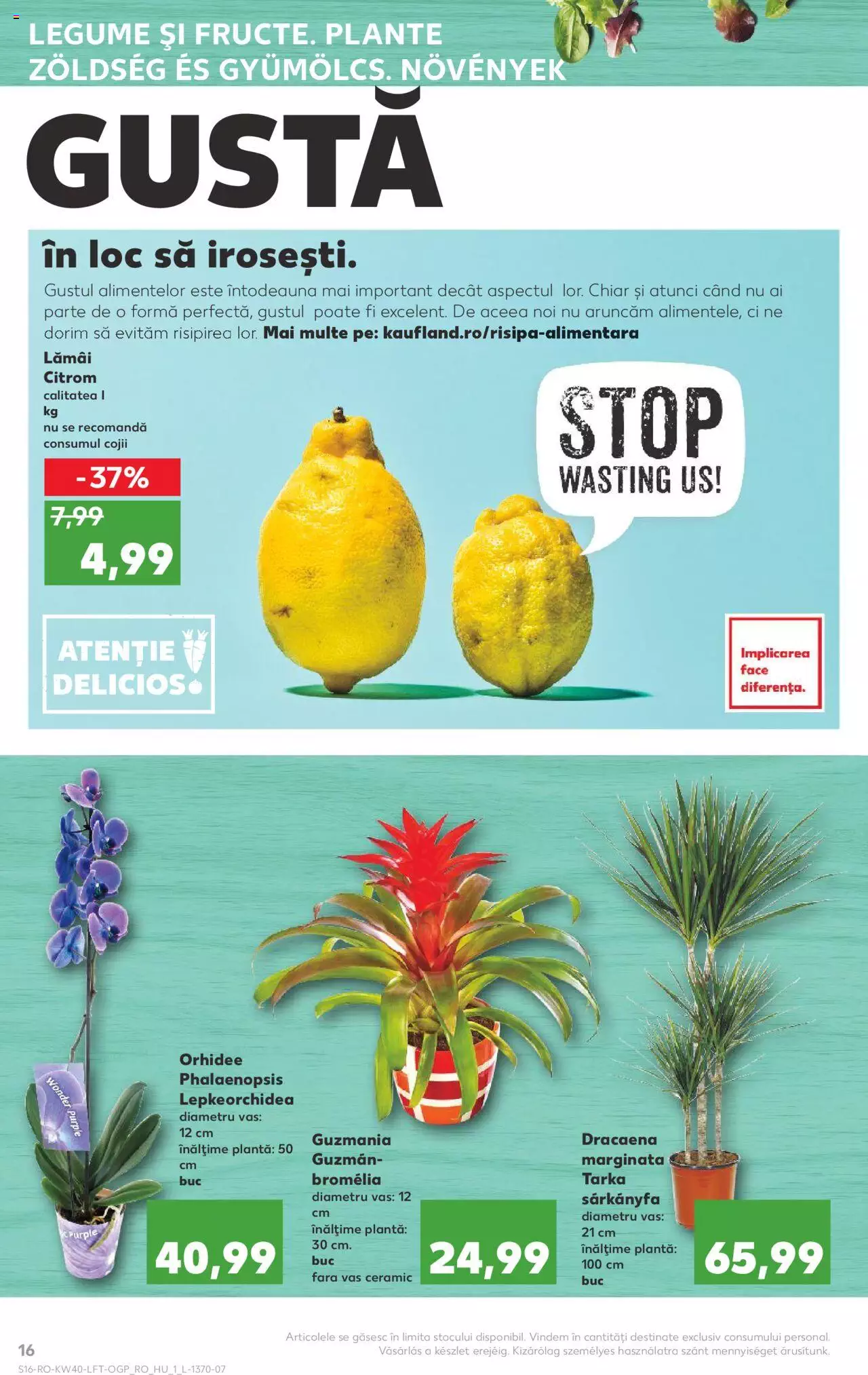 Catalog Kaufland 6 - 12 Octombrie 2021 | Pagina 16