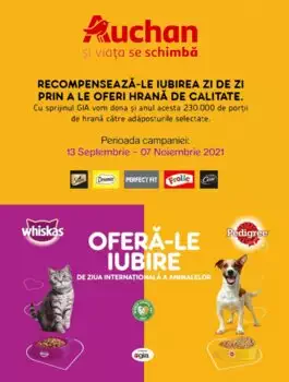 Catalog Auchan