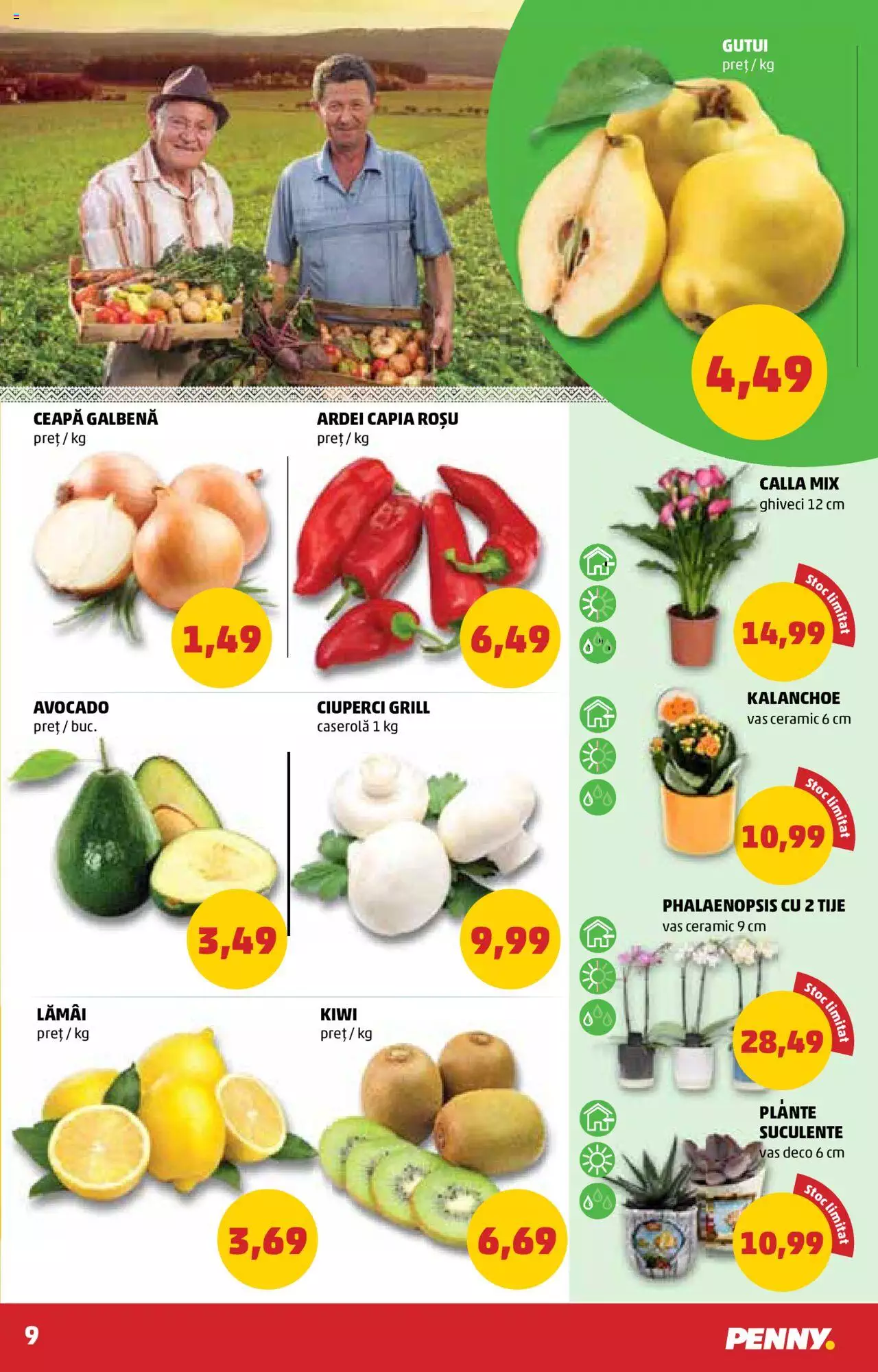 Catalog PENNY Market 13 - 19 Octombrie 2021 | Pagina 9