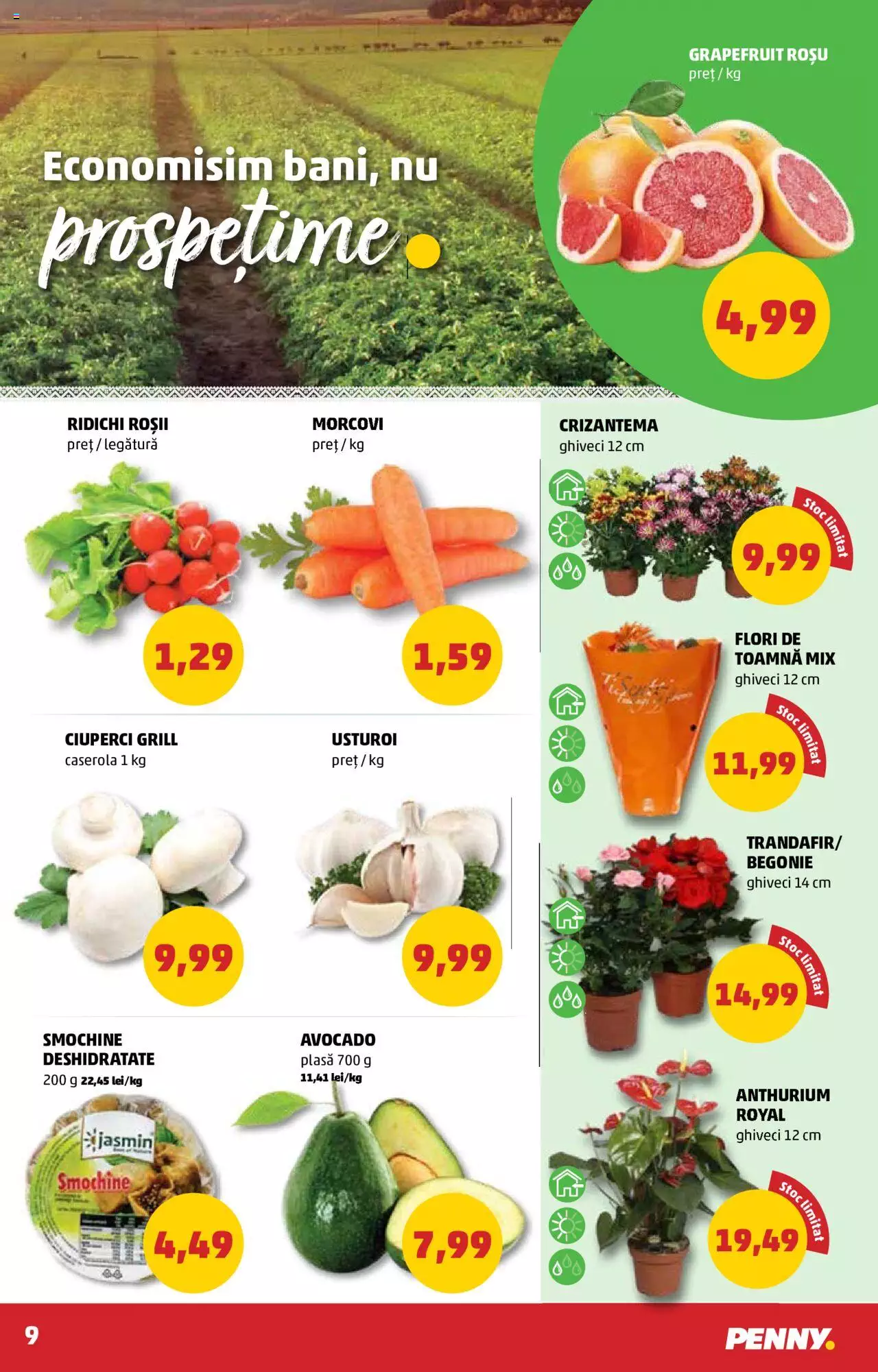 Catalog PENNY Market 20 - 26 Octombrie 2021 | Pagina 9
