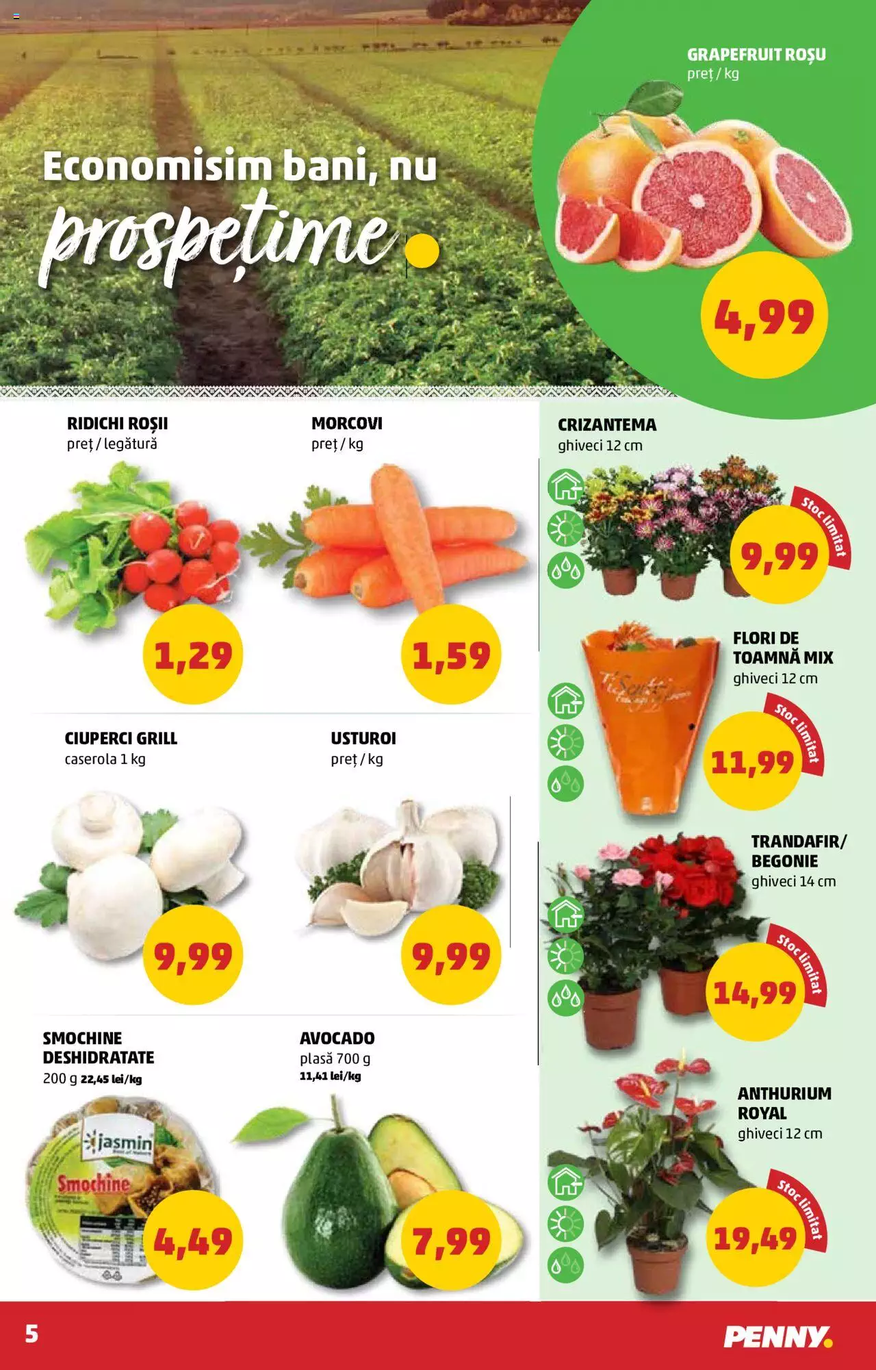 Catalog PENNY Market 20 - 26 Octombrie 2021 | Pagina 5
