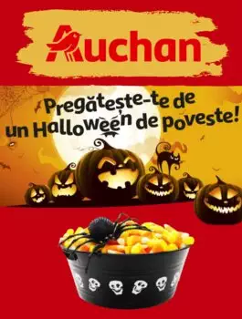 Catalog Auchan