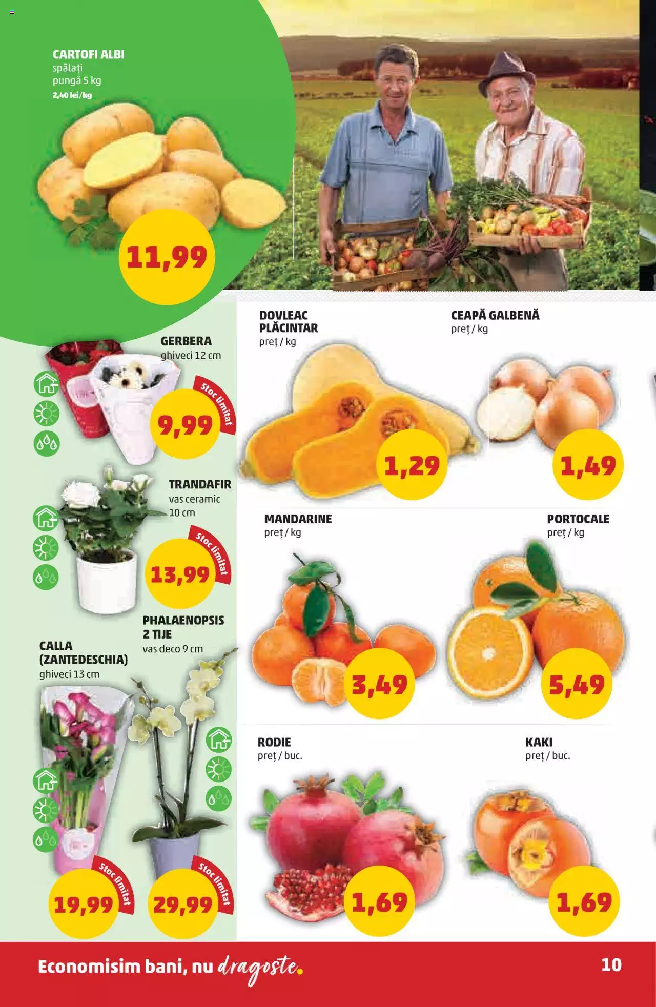 Catalog PENNY Market 27 Octombrie - 2 Noiembrie 2021 | Pagina 10