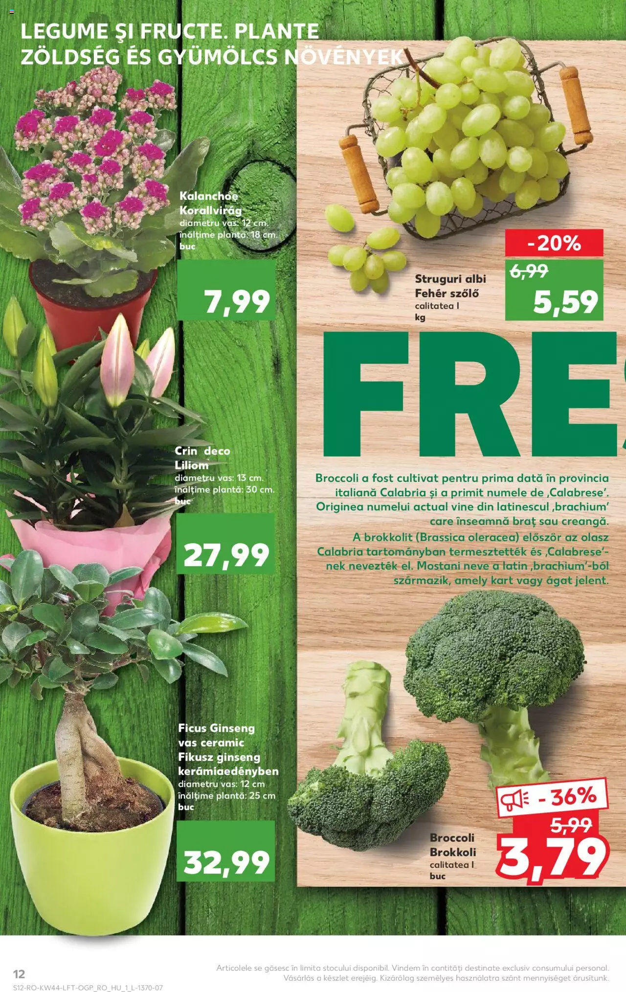 Catalog Kaufland 3 - 9 Noiembrie 2021 | Pagina 12