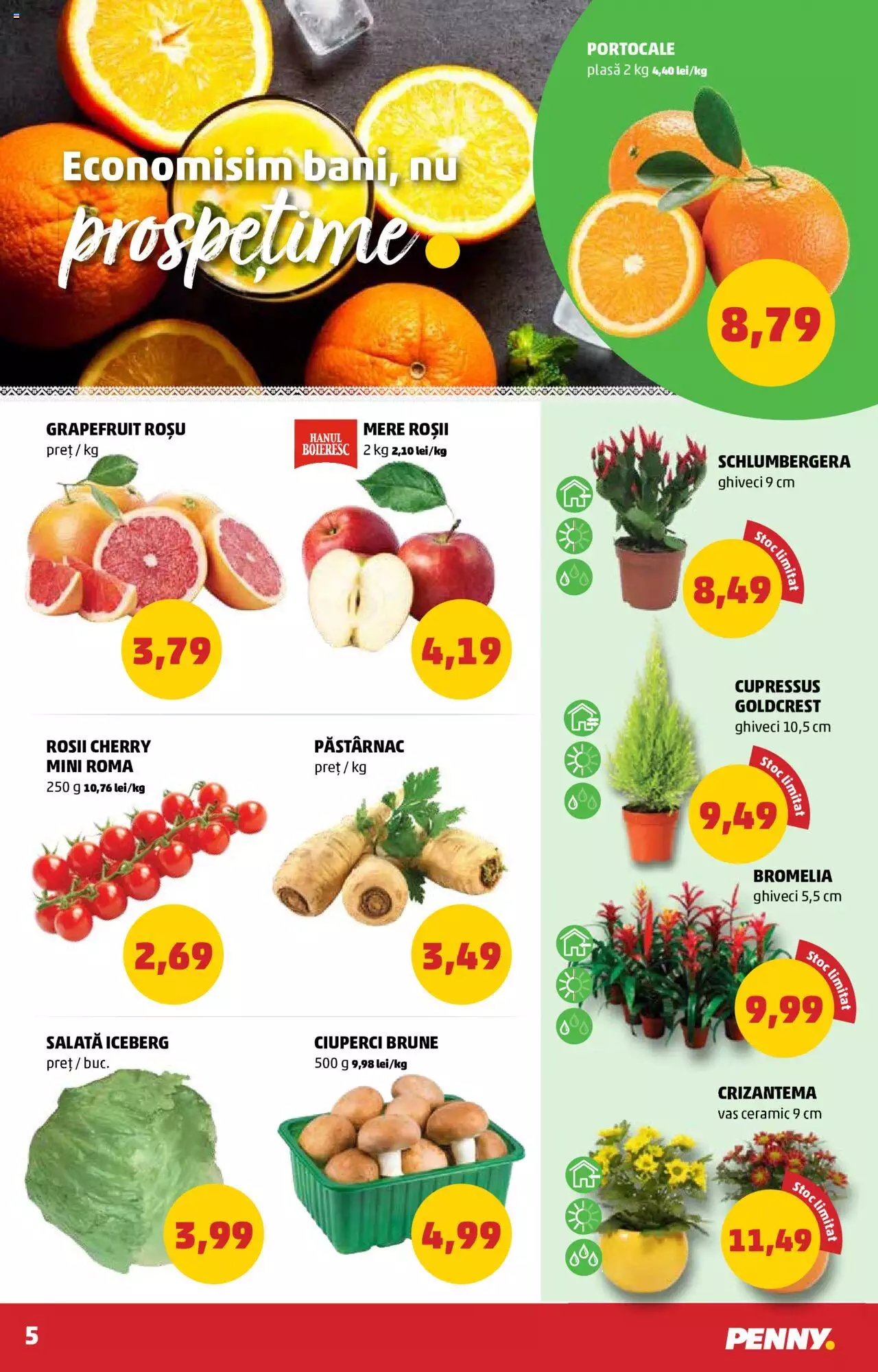 Catalog PENNY Market 10 - 16 Noiembrie 2021 | Pagina 5