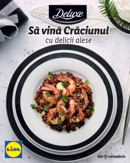 Catalog LIDL