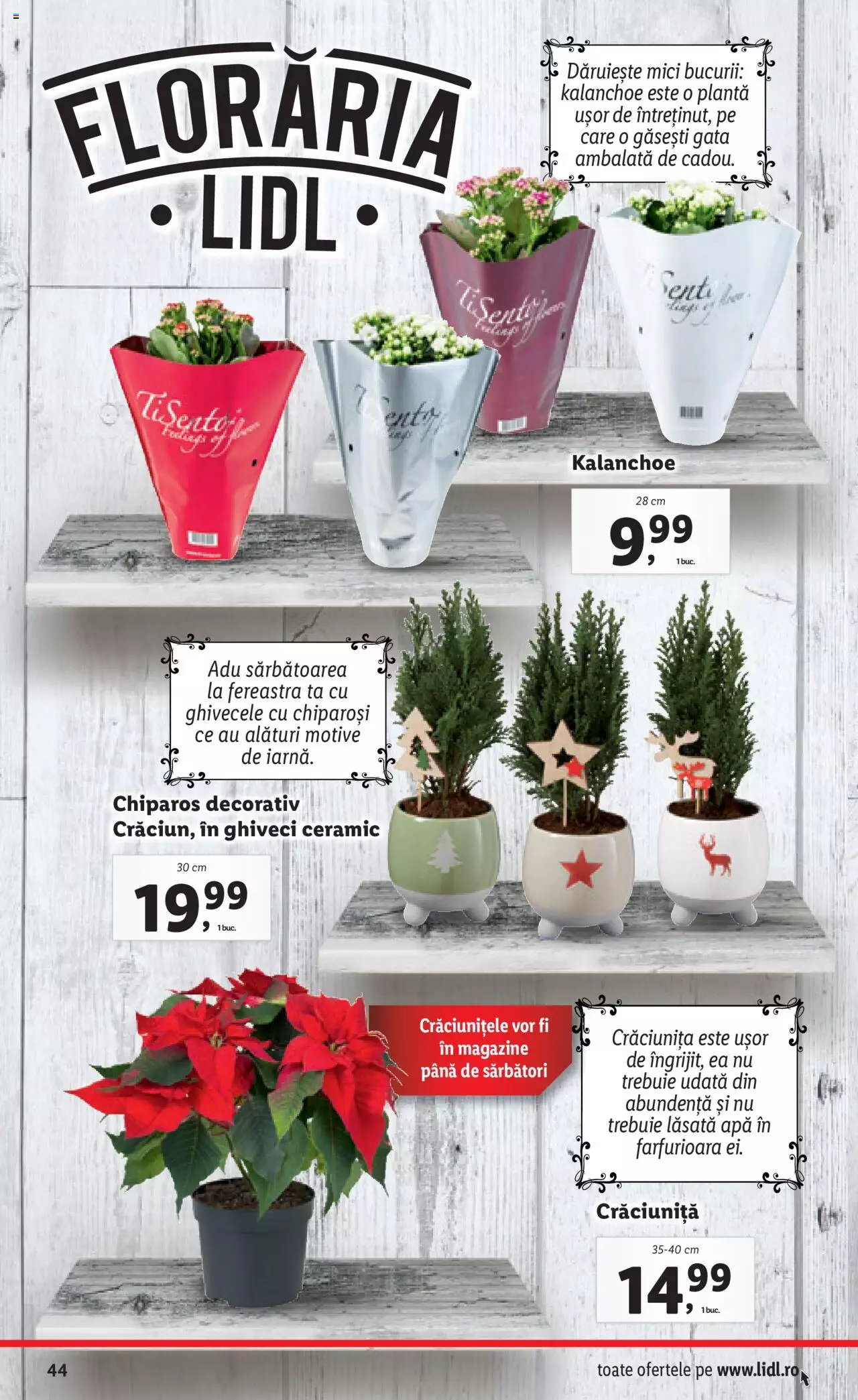 Catalog LIDL 22 - 28 Noiembrie 2021 | Pagina 44