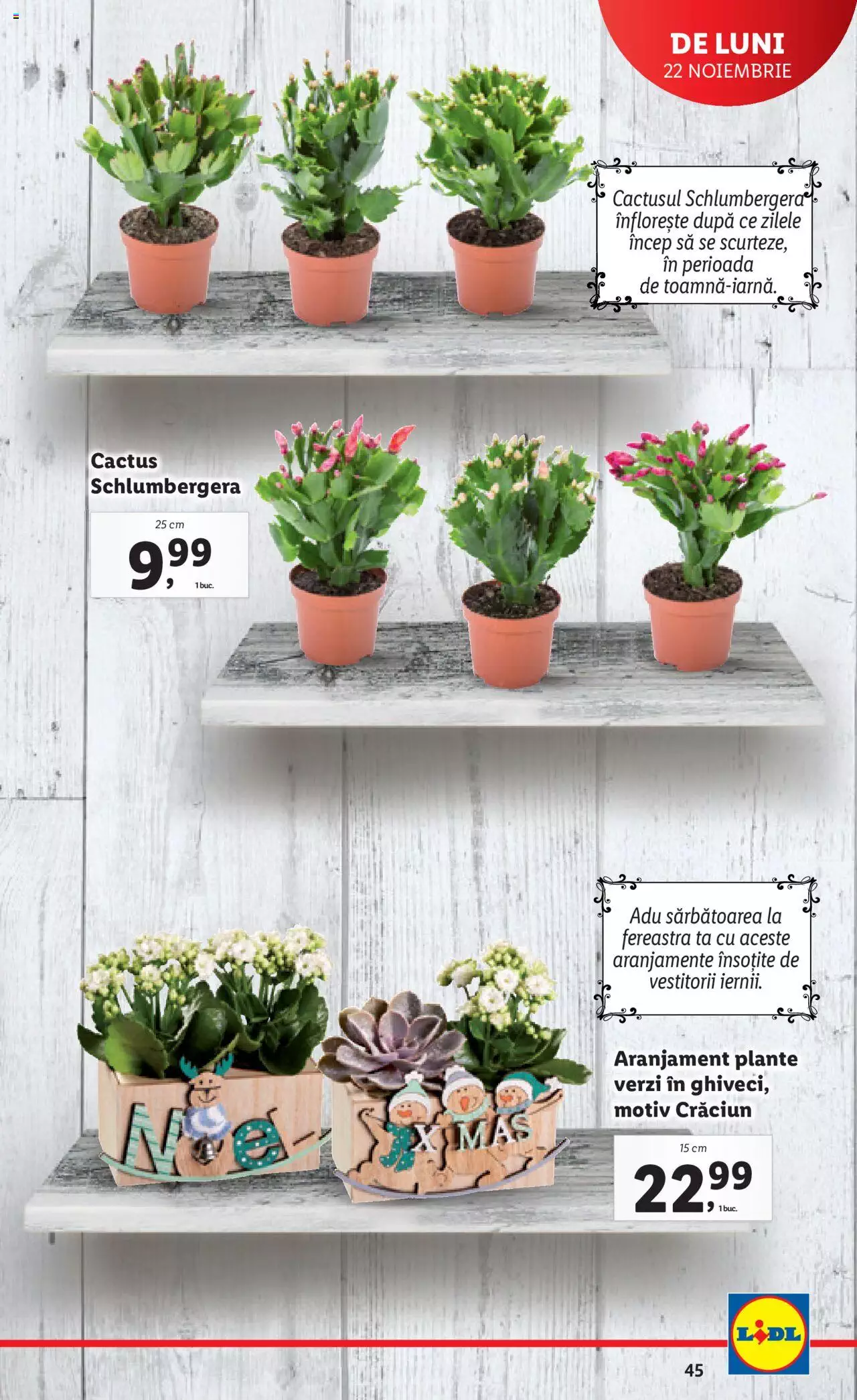 Catalog LIDL 22 - 28 Noiembrie 2021 | Pagina 45