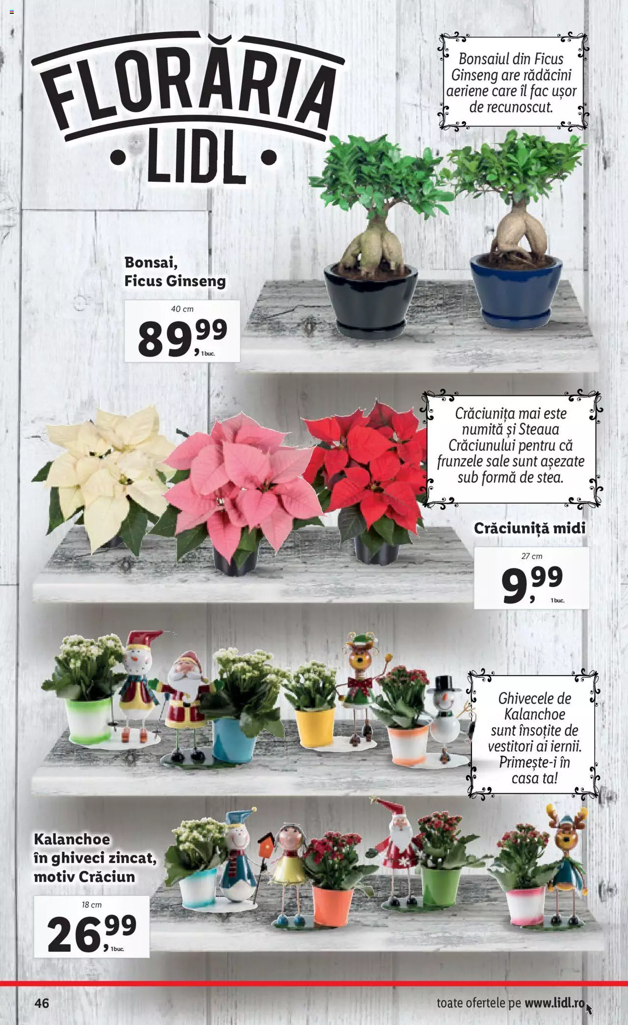 Catalog LIDL 22 - 28 Noiembrie 2021 | Pagina 46