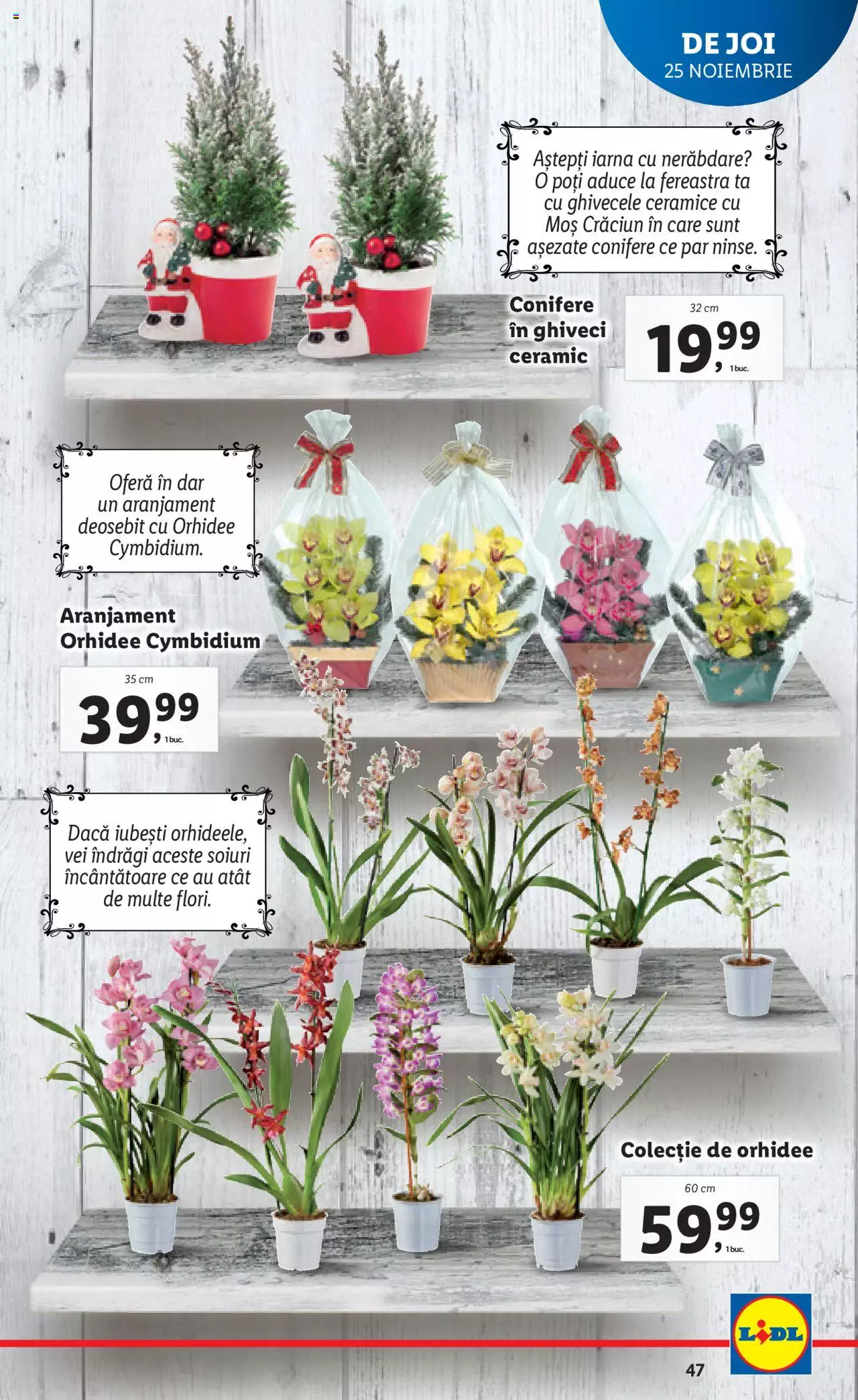 Catalog LIDL 22 - 28 Noiembrie 2021 | Pagina 47