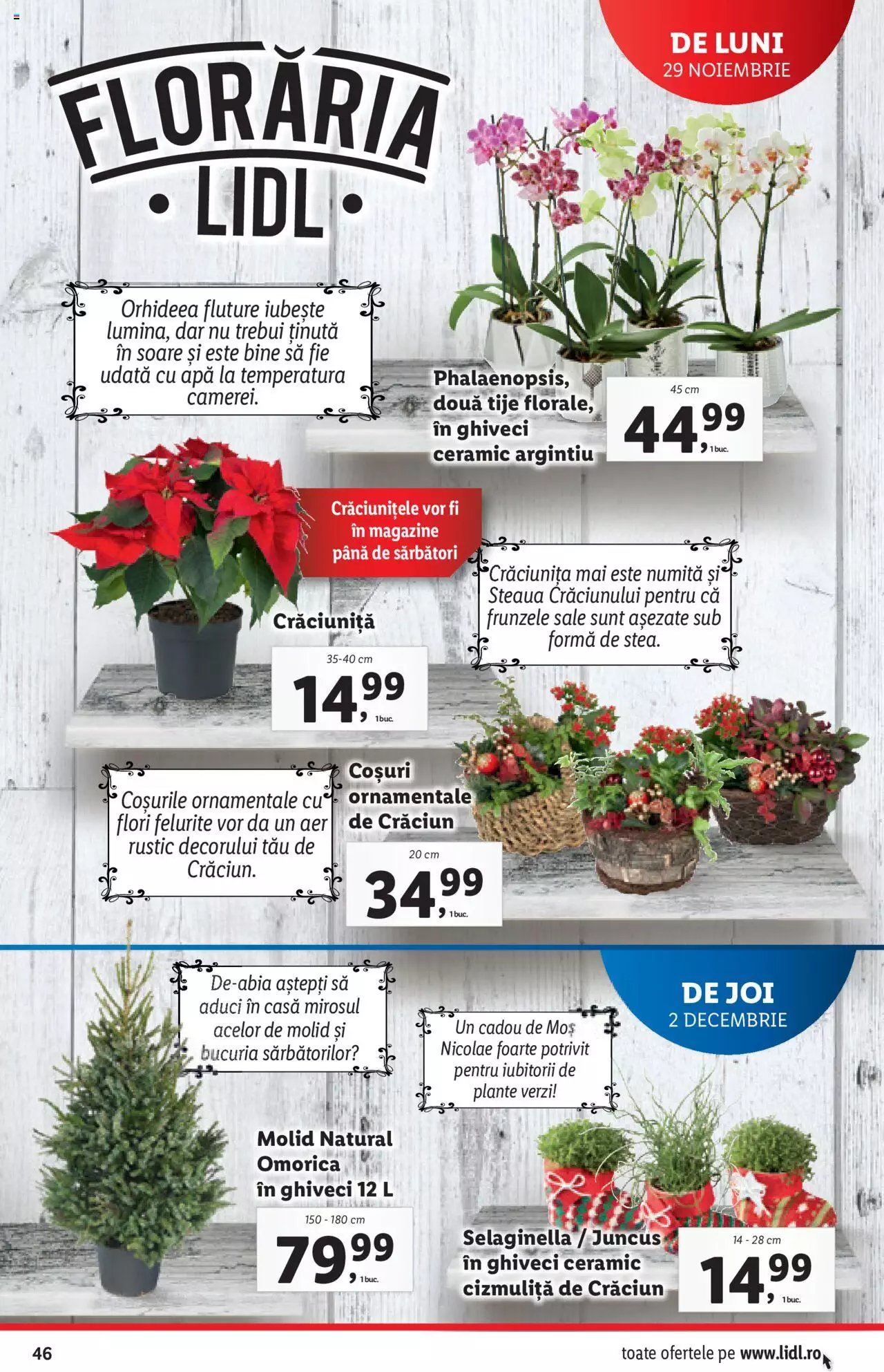 Catalog LIDL 29 Noiembrie - 5 Decembrie 2021 | Pagina 46