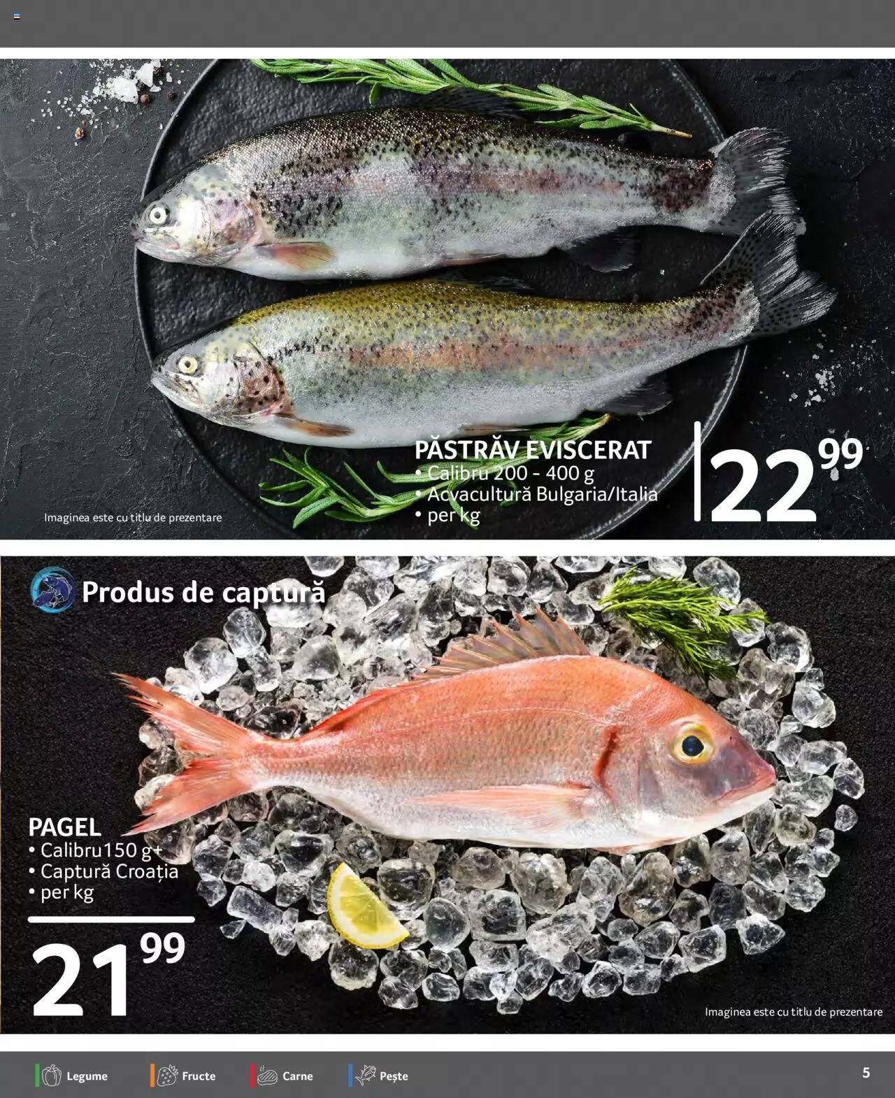 Catalog Selgros 26 Noiembrie - 2 Decembrie 2021 | Pagina 5