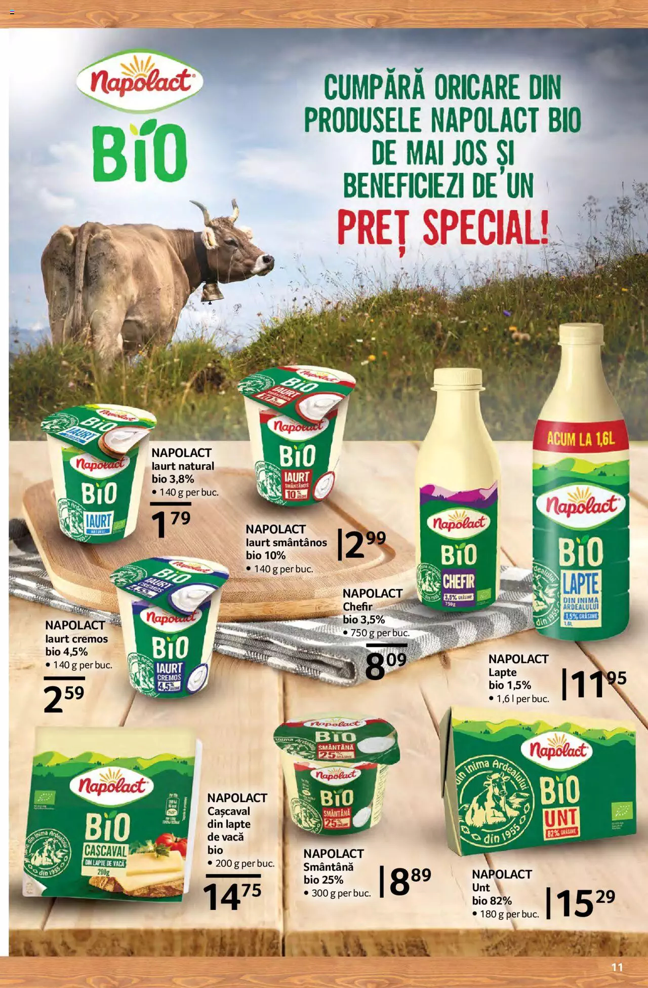 Catalog Selgros 1 - 31 Decembrie 2021 | Pagina 11