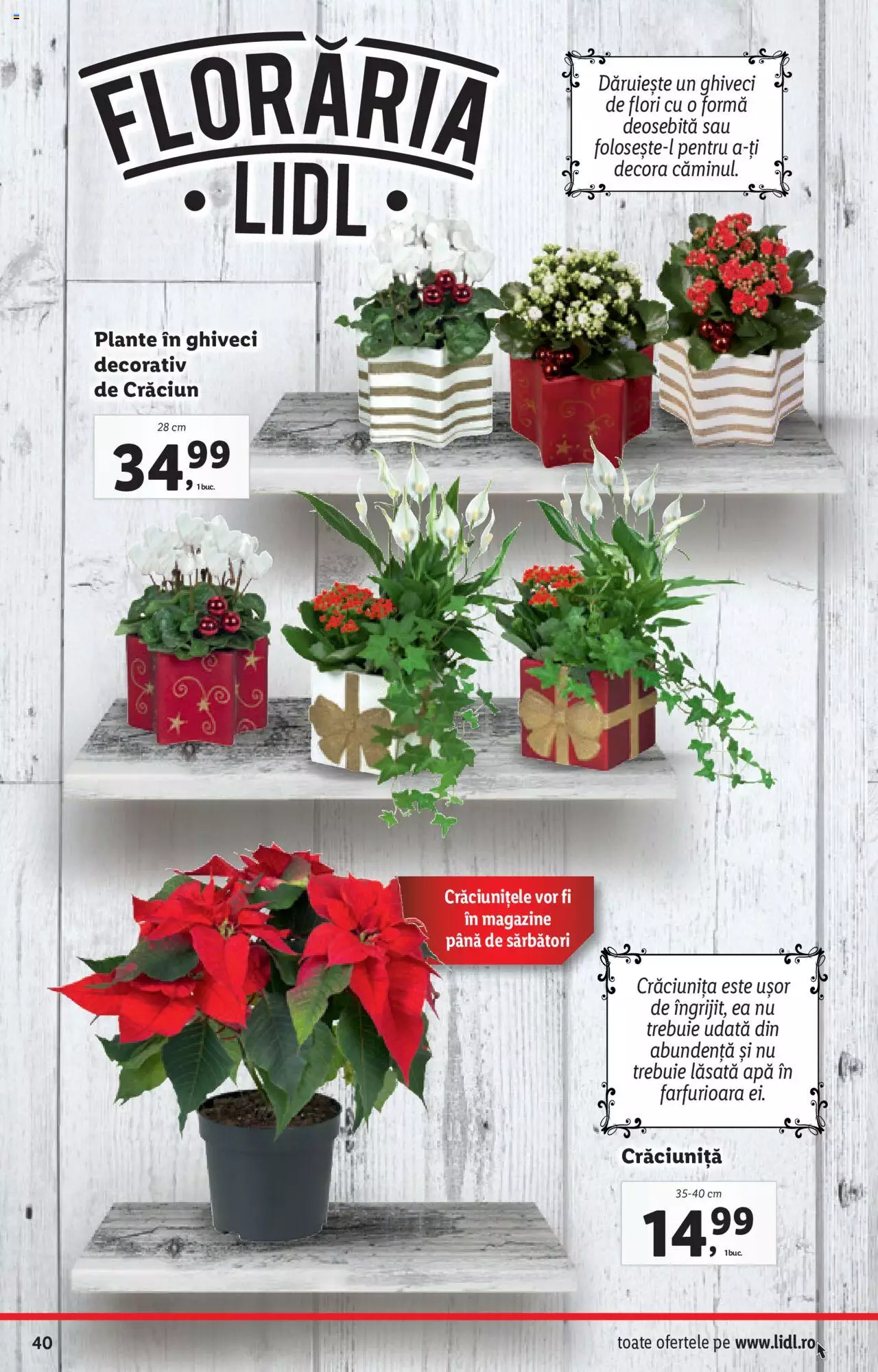 Catalog LIDL 6 - 12 Decembrie 2021 | Pagina 40