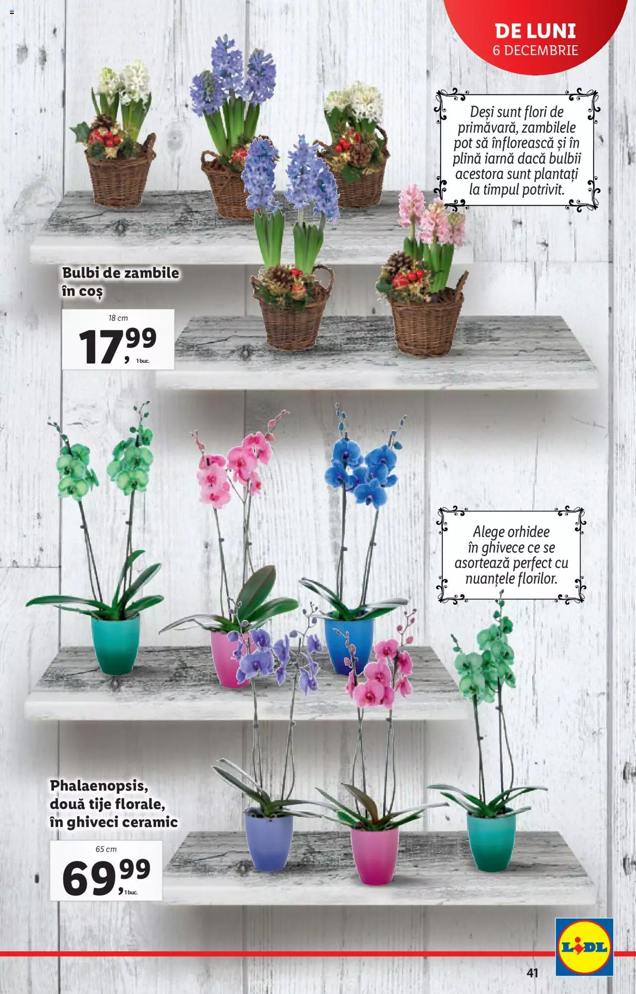 Catalog LIDL 6 - 12 Decembrie 2021 | Pagina 41