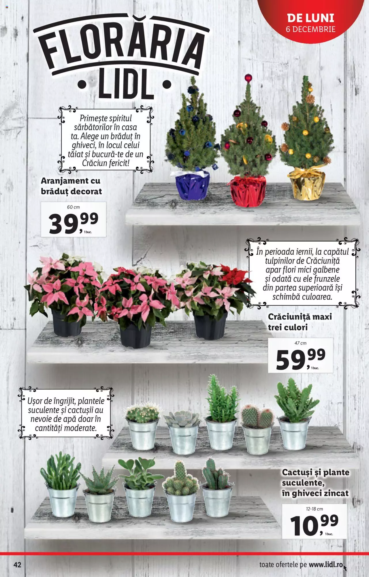 Catalog LIDL 6 - 12 Decembrie 2021 | Pagina 42