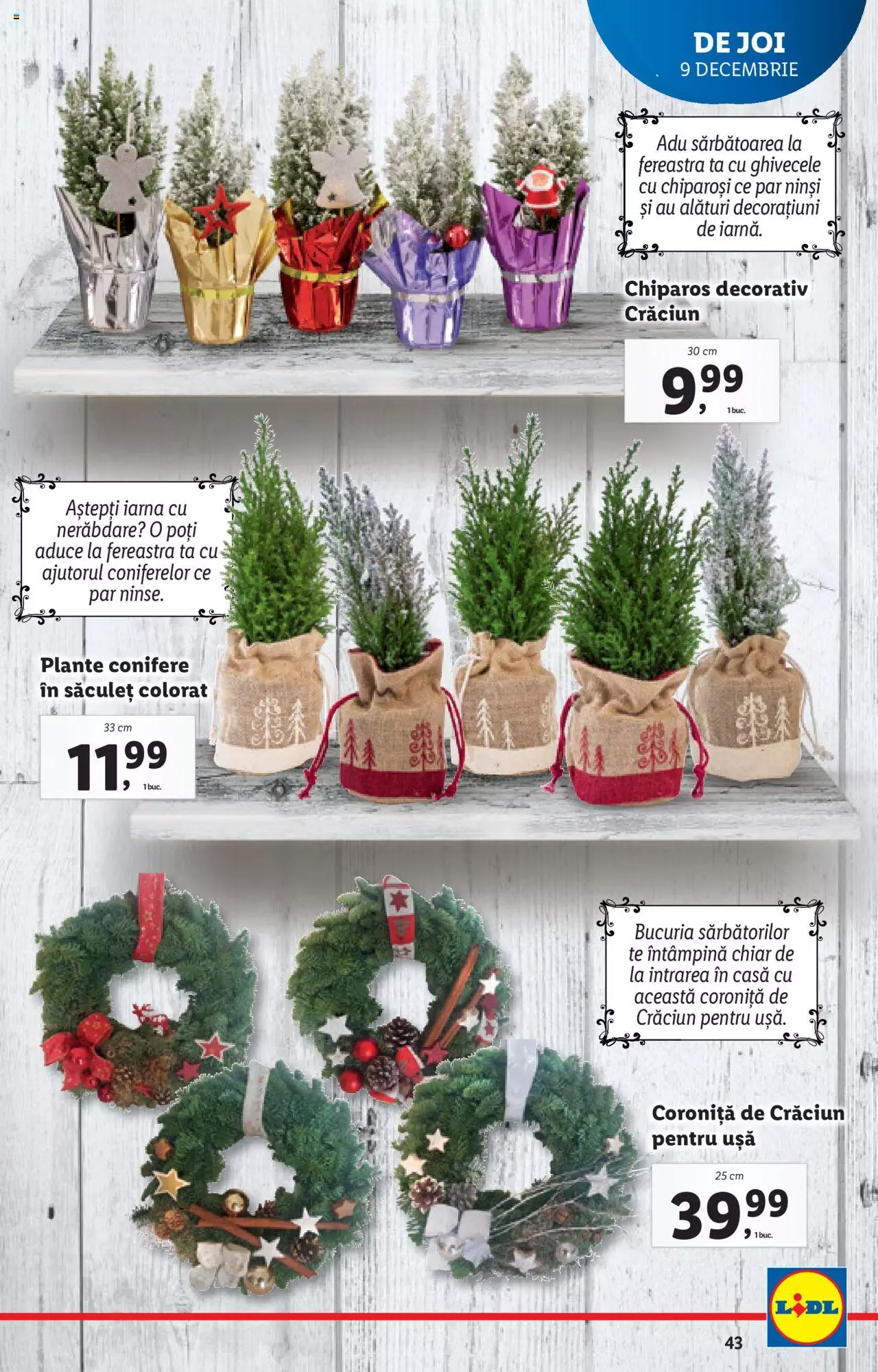 Catalog LIDL 6 - 12 Decembrie 2021 | Pagina 43