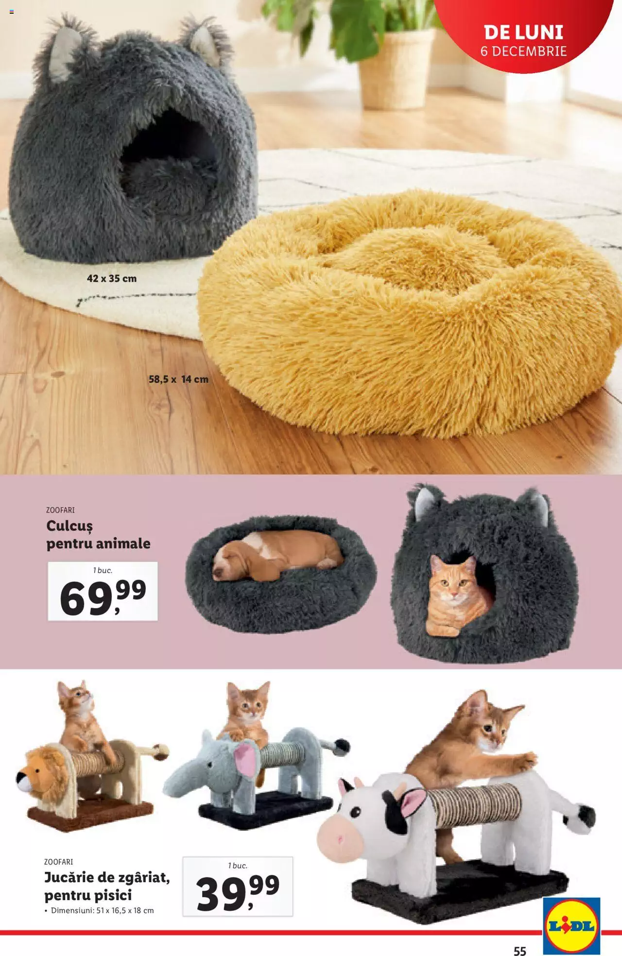 Catalog LIDL 6 - 12 Decembrie 2021 | Pagina 55