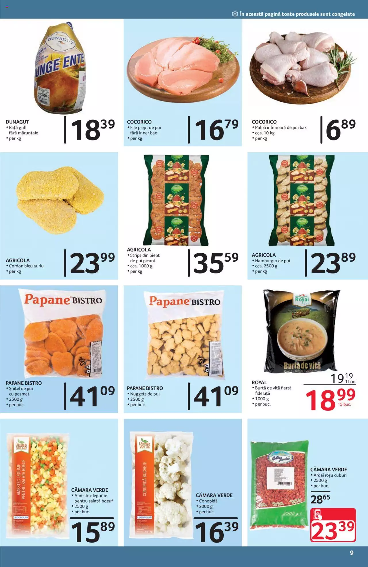 Catalog Selgros 1 - 31 Decembrie 2021 | Pagina 9