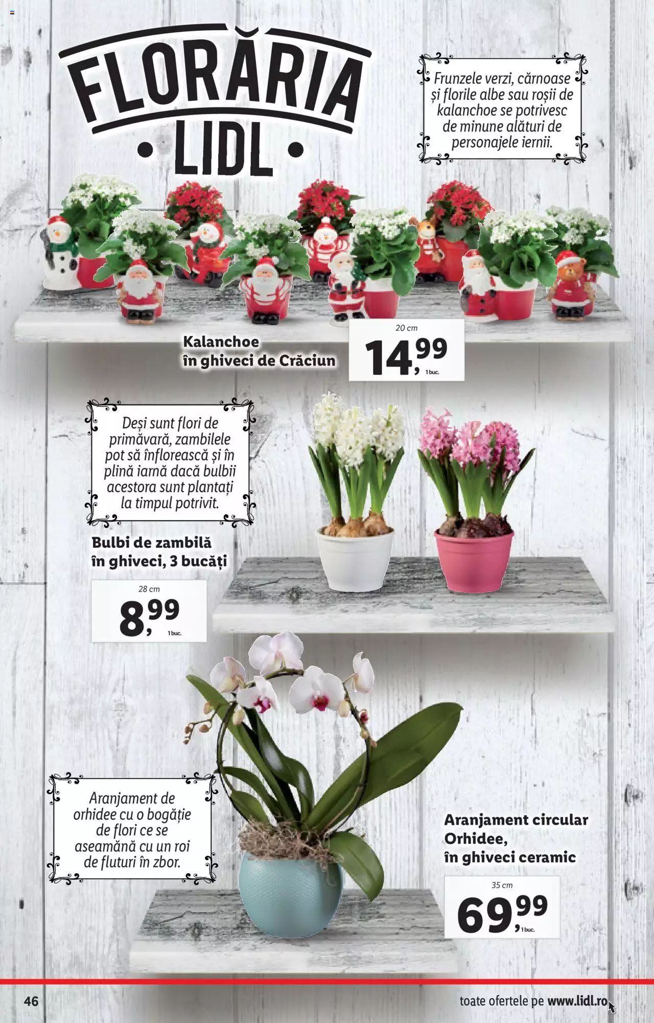 Catalog LIDL 13 - 19 Decembrie 2021 | Pagina 46