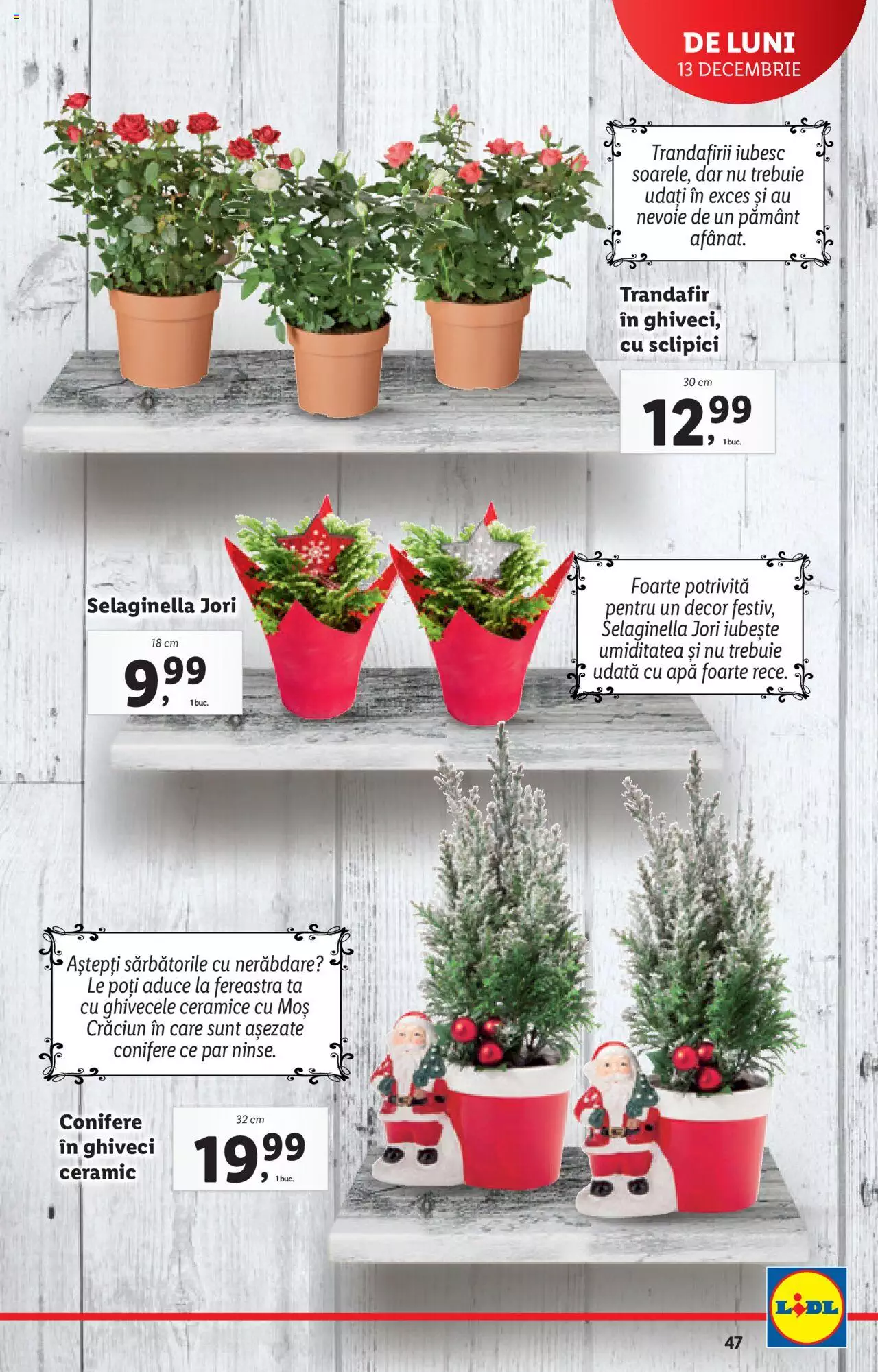 Catalog LIDL 13 - 19 Decembrie 2021 | Pagina 47