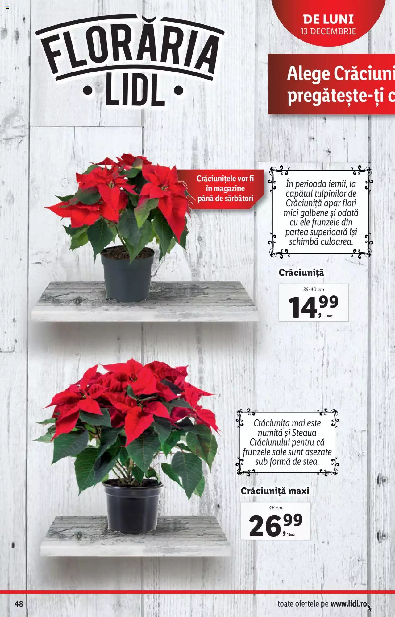Catalog LIDL 13 - 19 Decembrie 2021 | Pagina 48