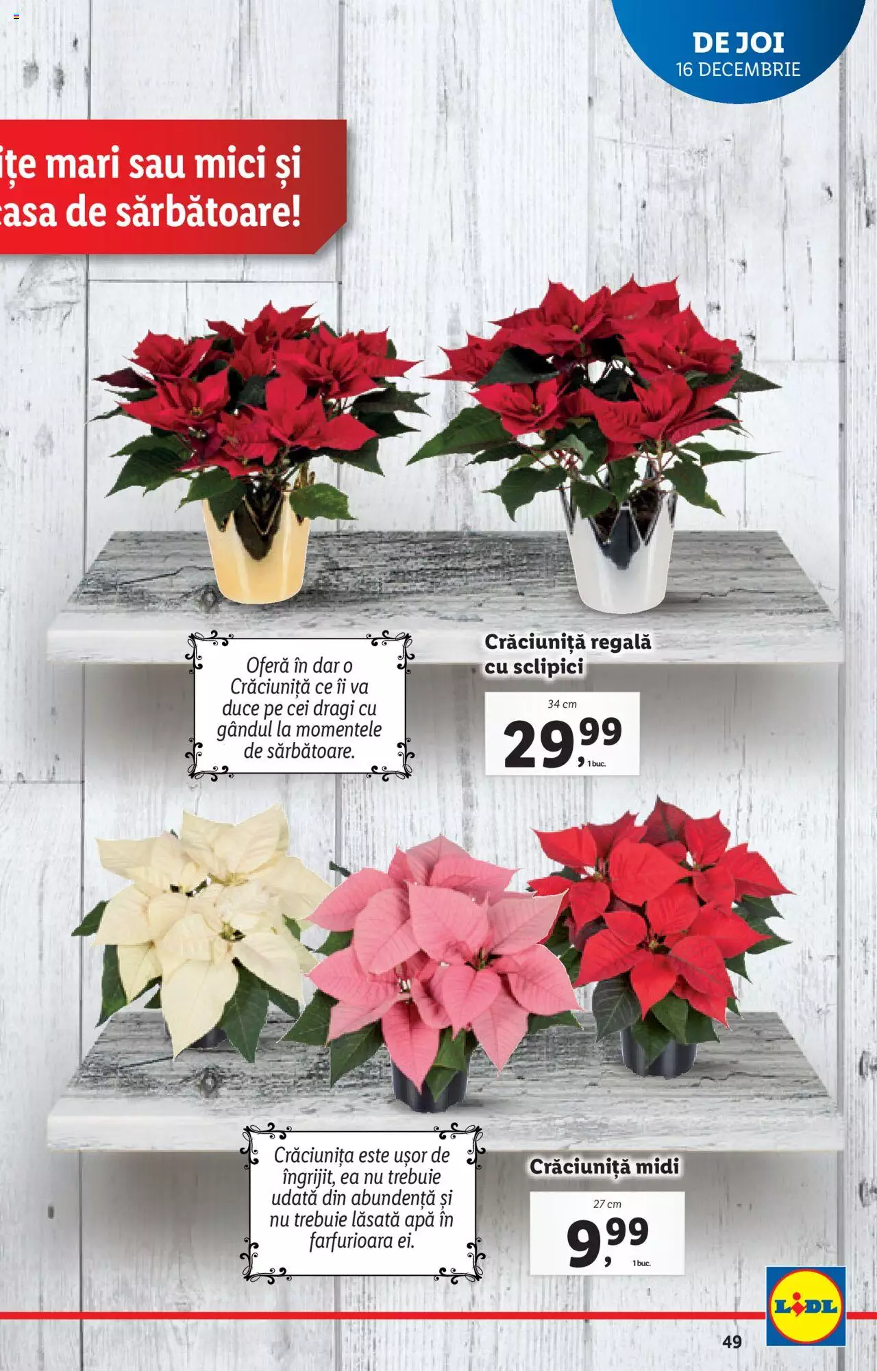 Catalog LIDL 13 - 19 Decembrie 2021 | Pagina 49