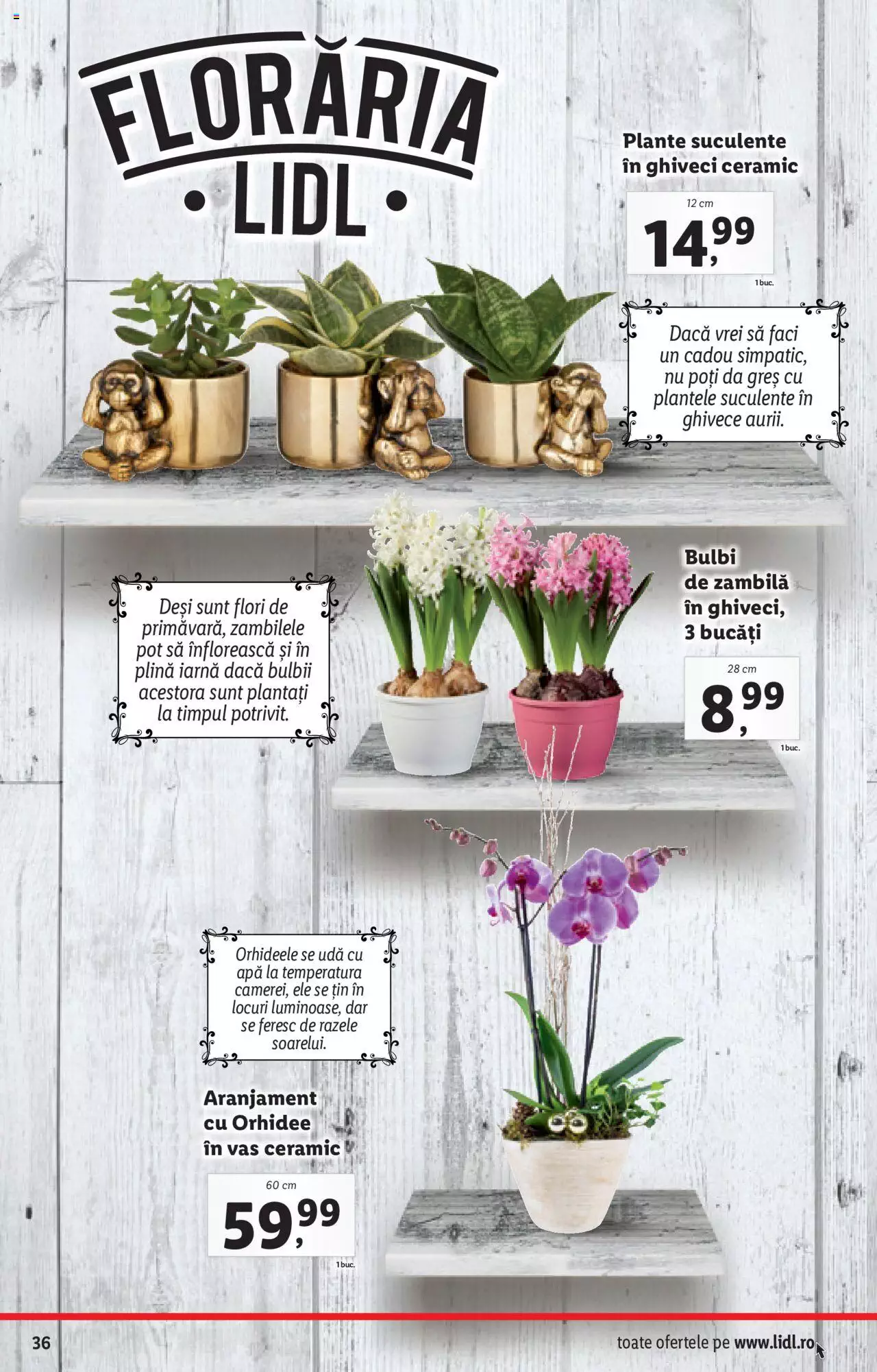 Catalog LIDL 20 - 24 Decembrie 2021 | Pagina 36