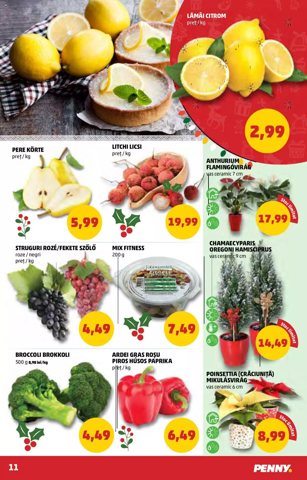 Catalog PENNY Market 15 - 21 Decembrie 2021 | Pagina 13