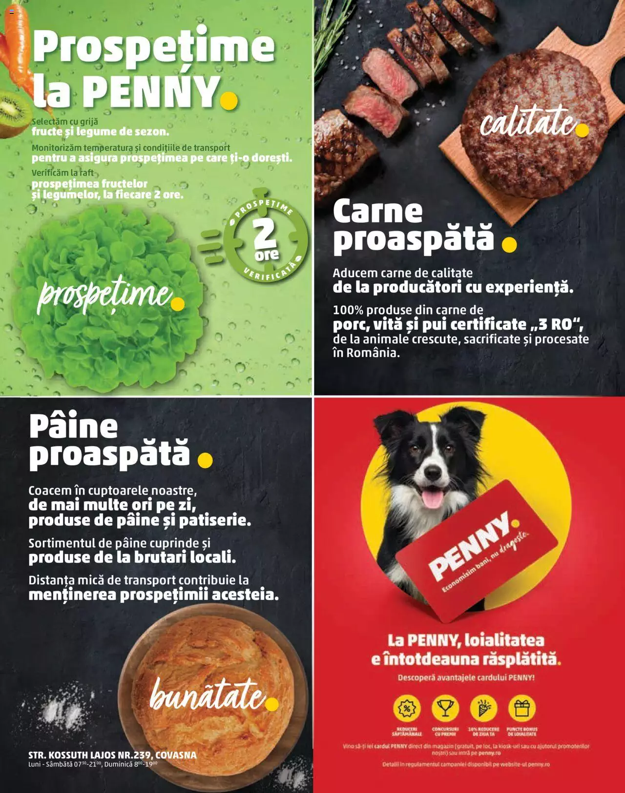 Catalog PENNY Market 15 - 21 Decembrie 2021 | Pagina 2